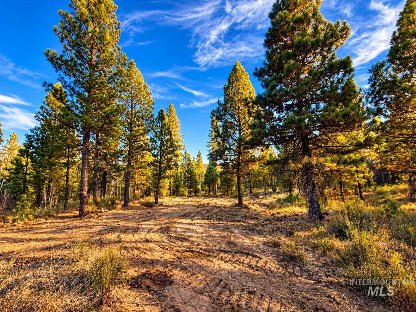 Tbd Grimes Pass Road Property Photo 12