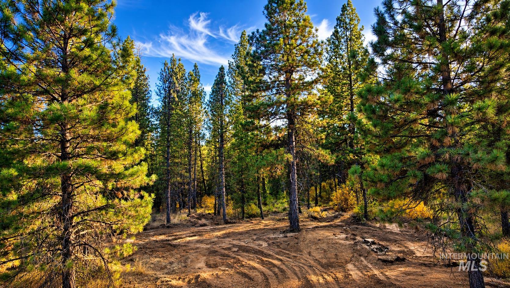 Tbd Grimes Pass Road Property Photo 16