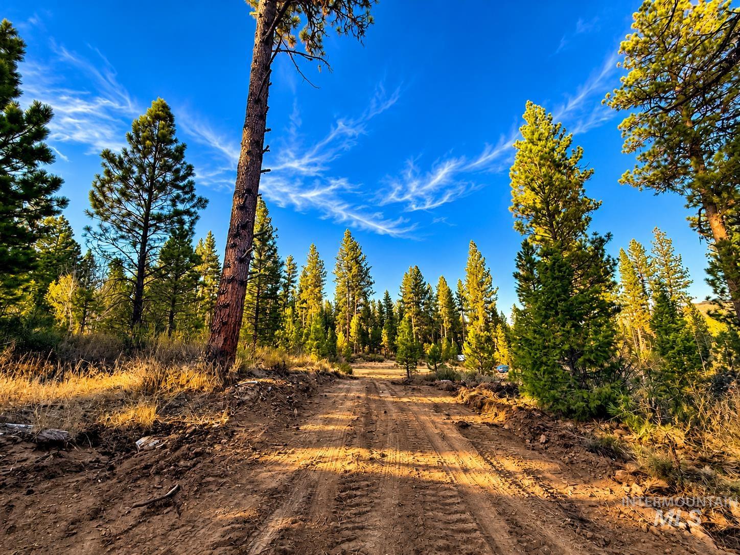 Tbd Grimes Pass Road Property Photo 19