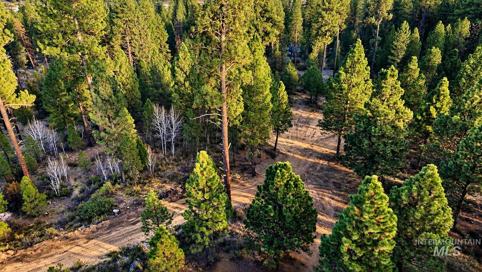 Tbd Grimes Pass Road Property Photo 20