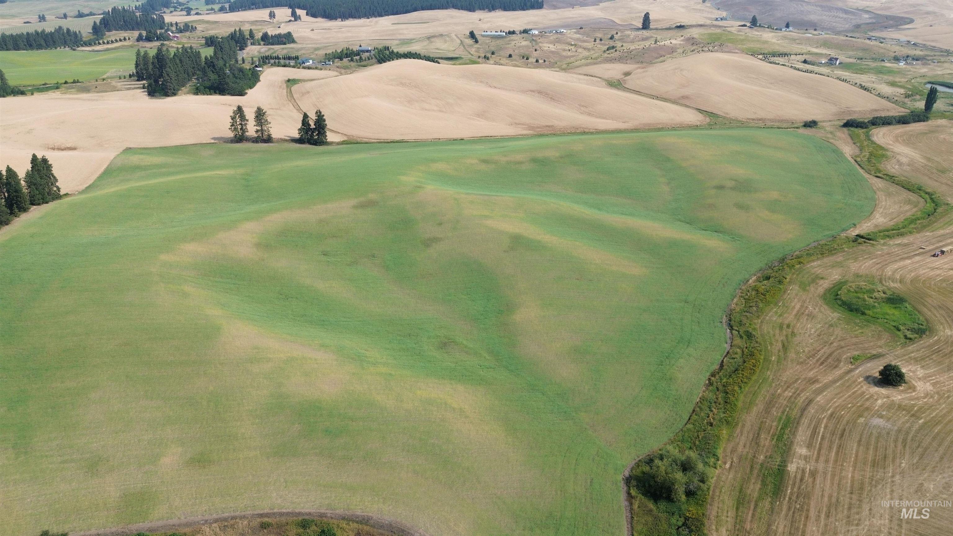 +/- 155 Ac Tbd Boller Road Property Photo 4