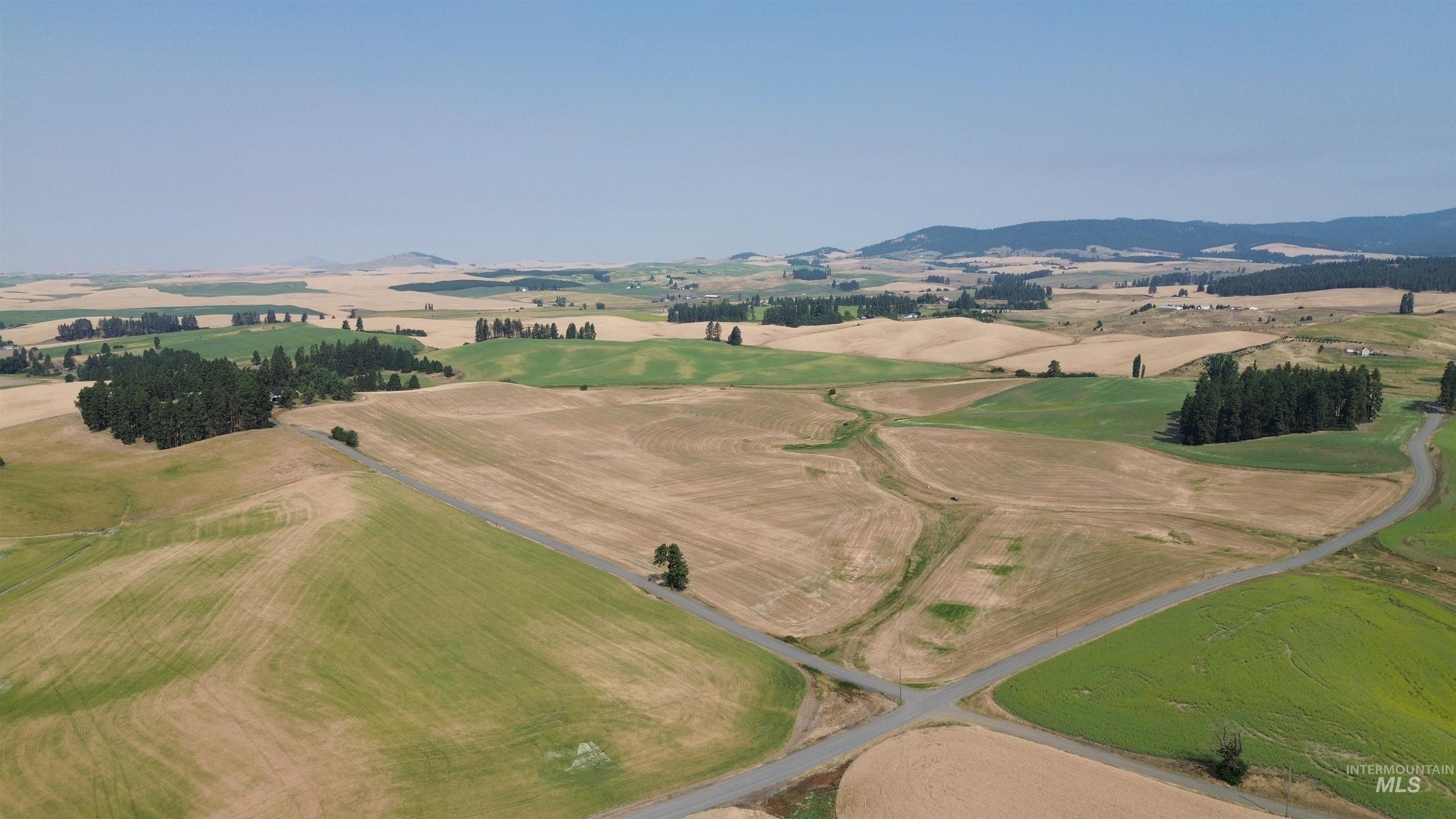 +/- 155 Ac Tbd Boller Road Property Photo 5