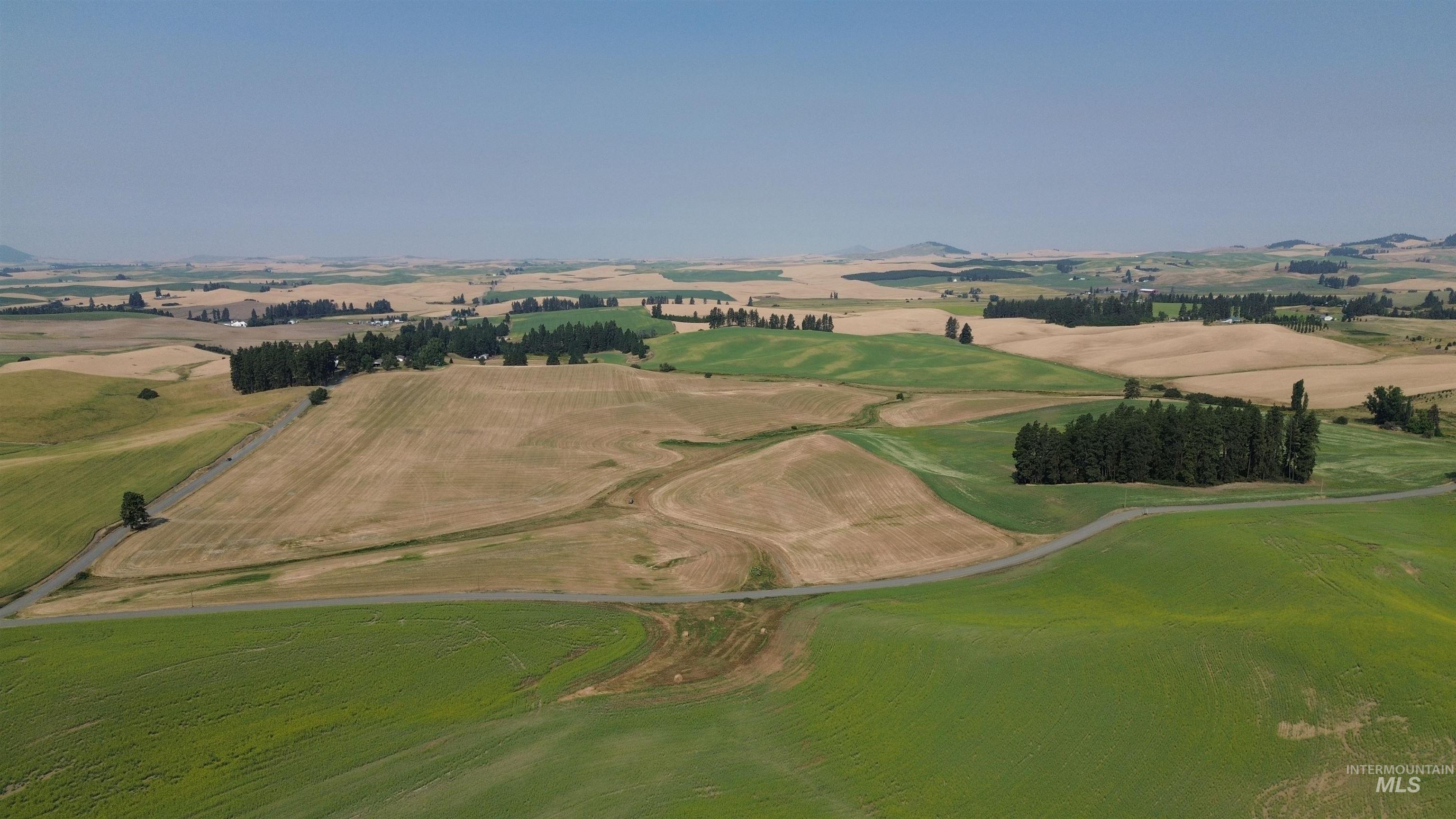 +/- 155 Ac Tbd Boller Road Property Photo 6