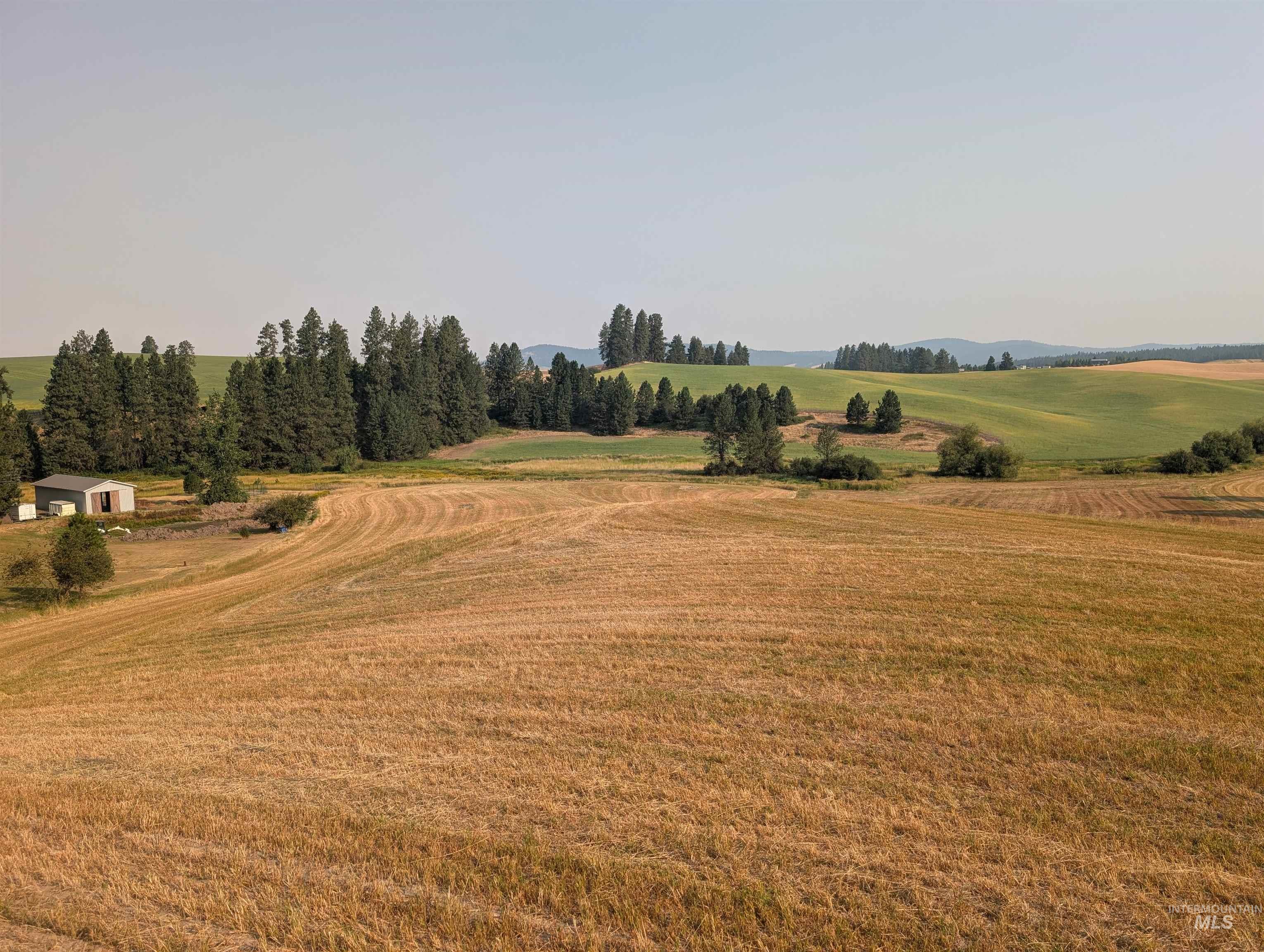 +/- 155 Ac Tbd Boller Road Property Photo 9