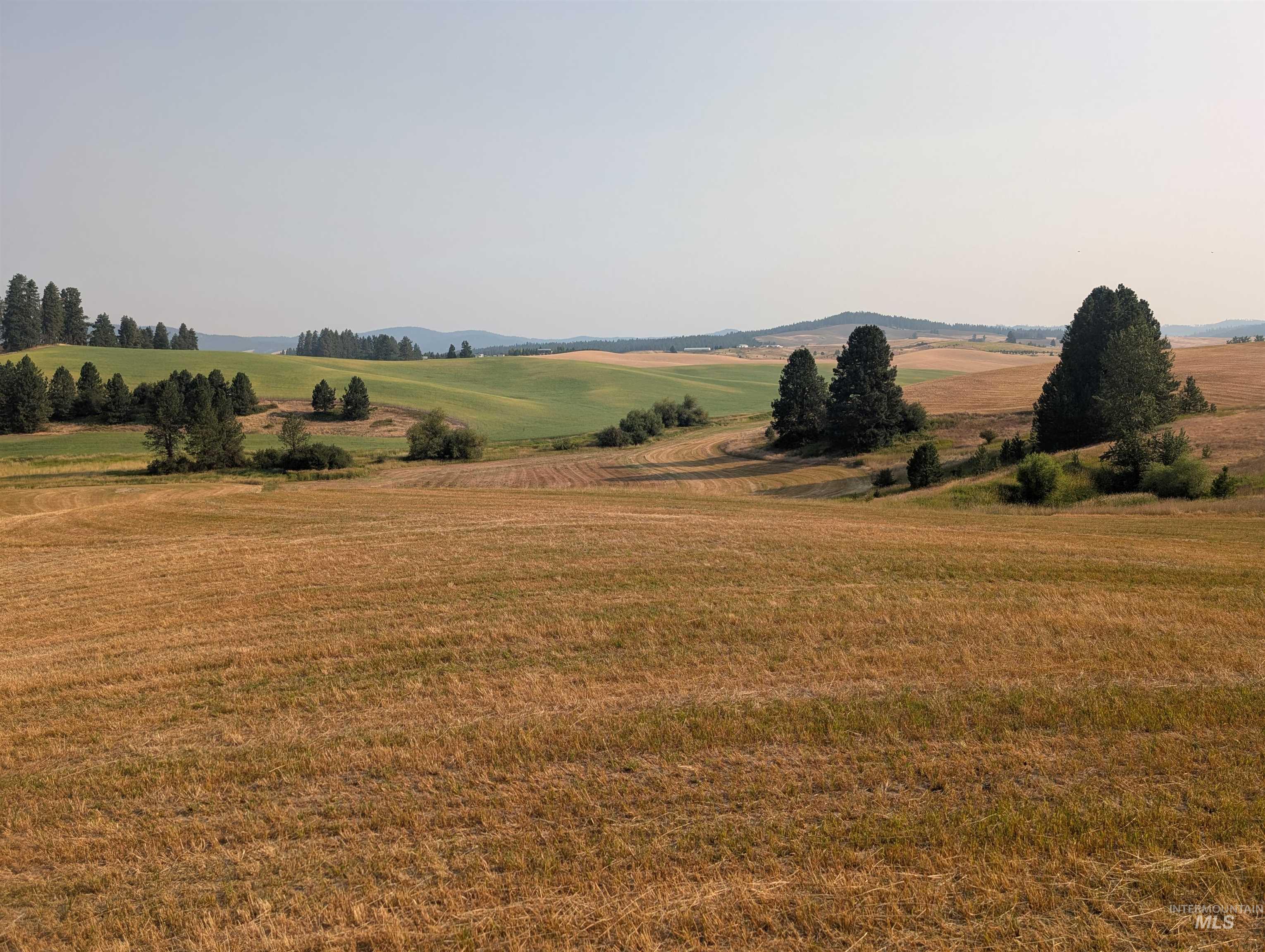 +/- 155 Ac Tbd Boller Road Property Photo 10