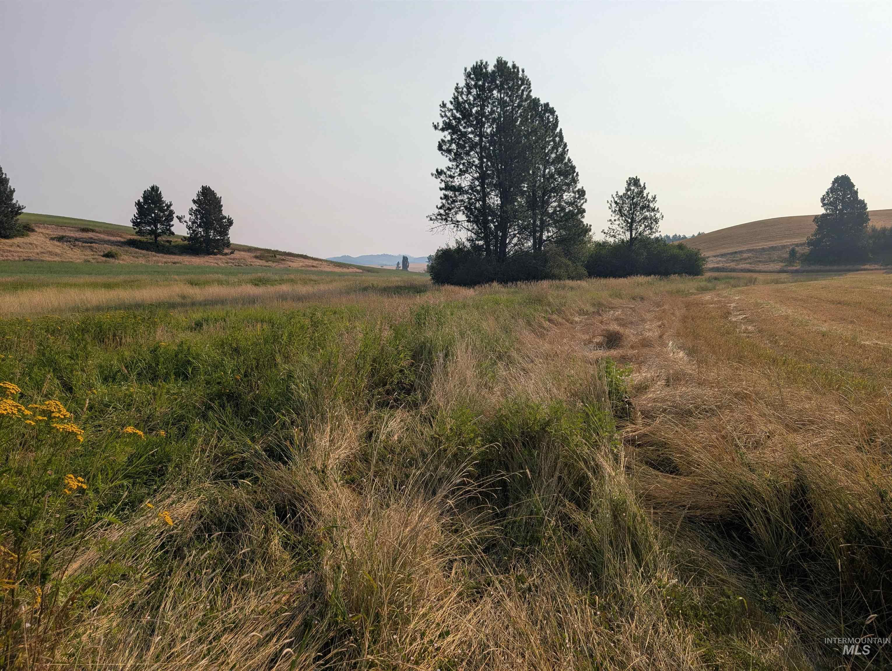 +/- 155 Ac Tbd Boller Road Property Photo 11