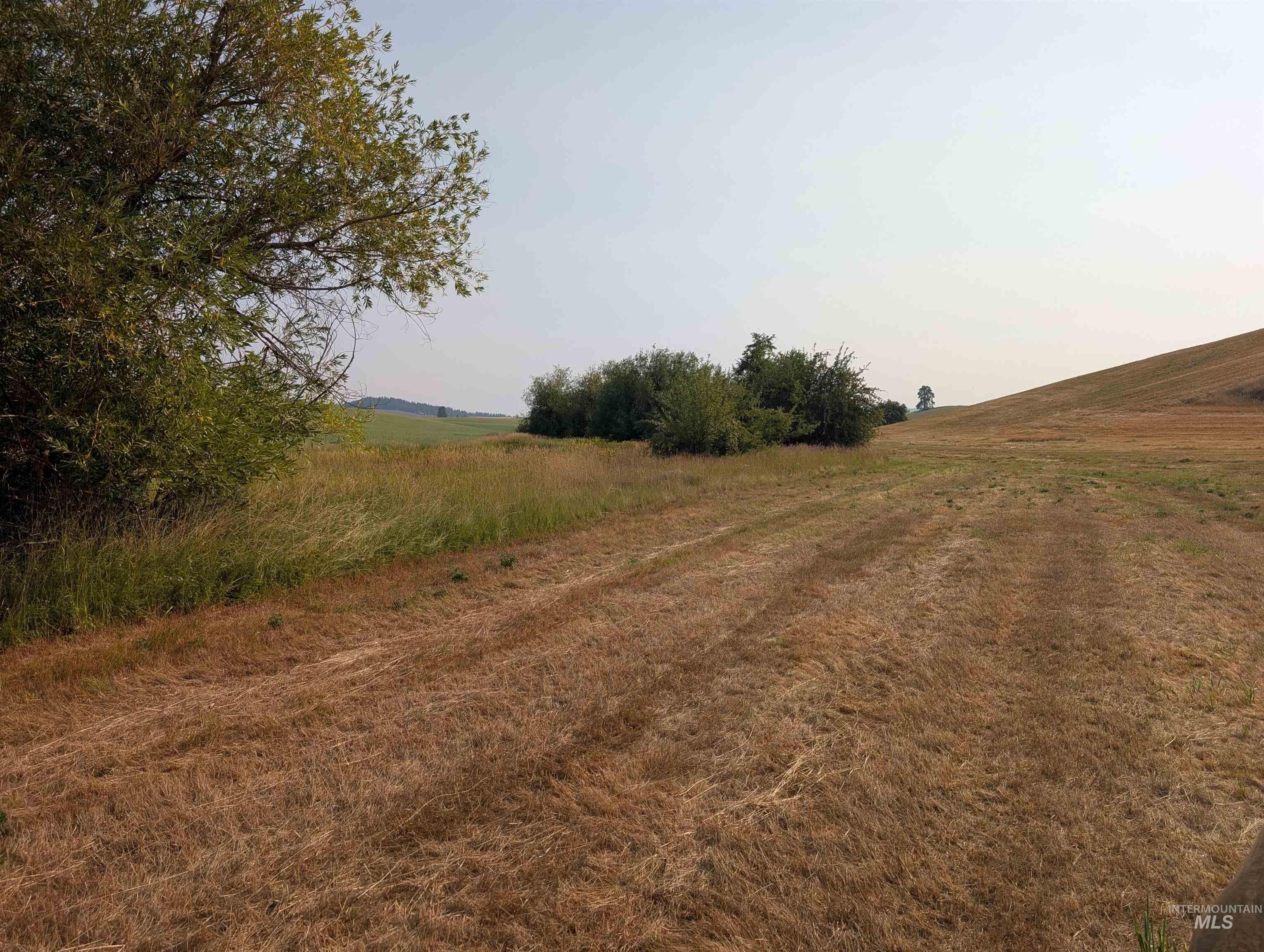 +/- 155 Ac Tbd Boller Road Property Photo 12