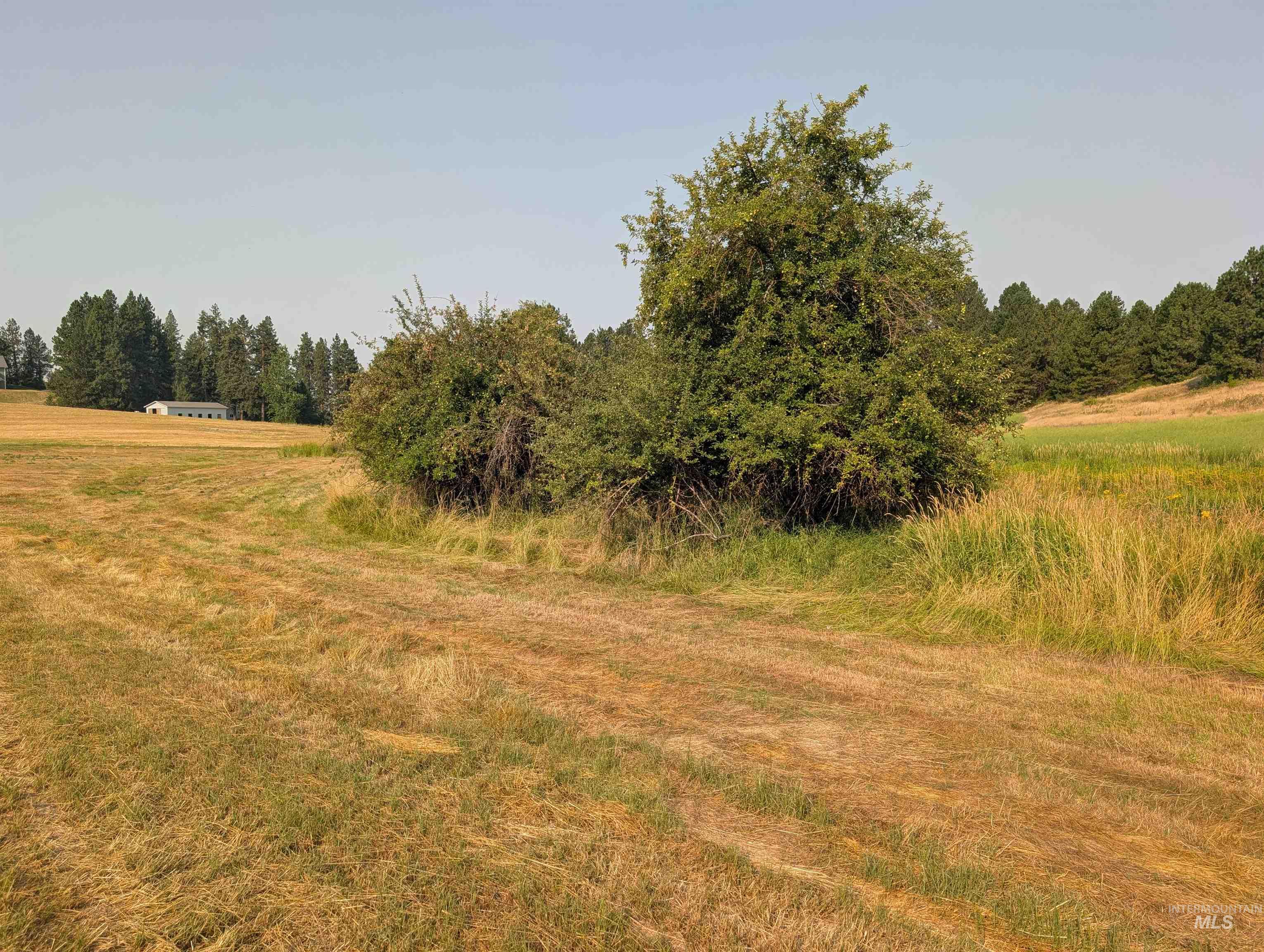 +/- 155 Ac Tbd Boller Road Property Photo 13