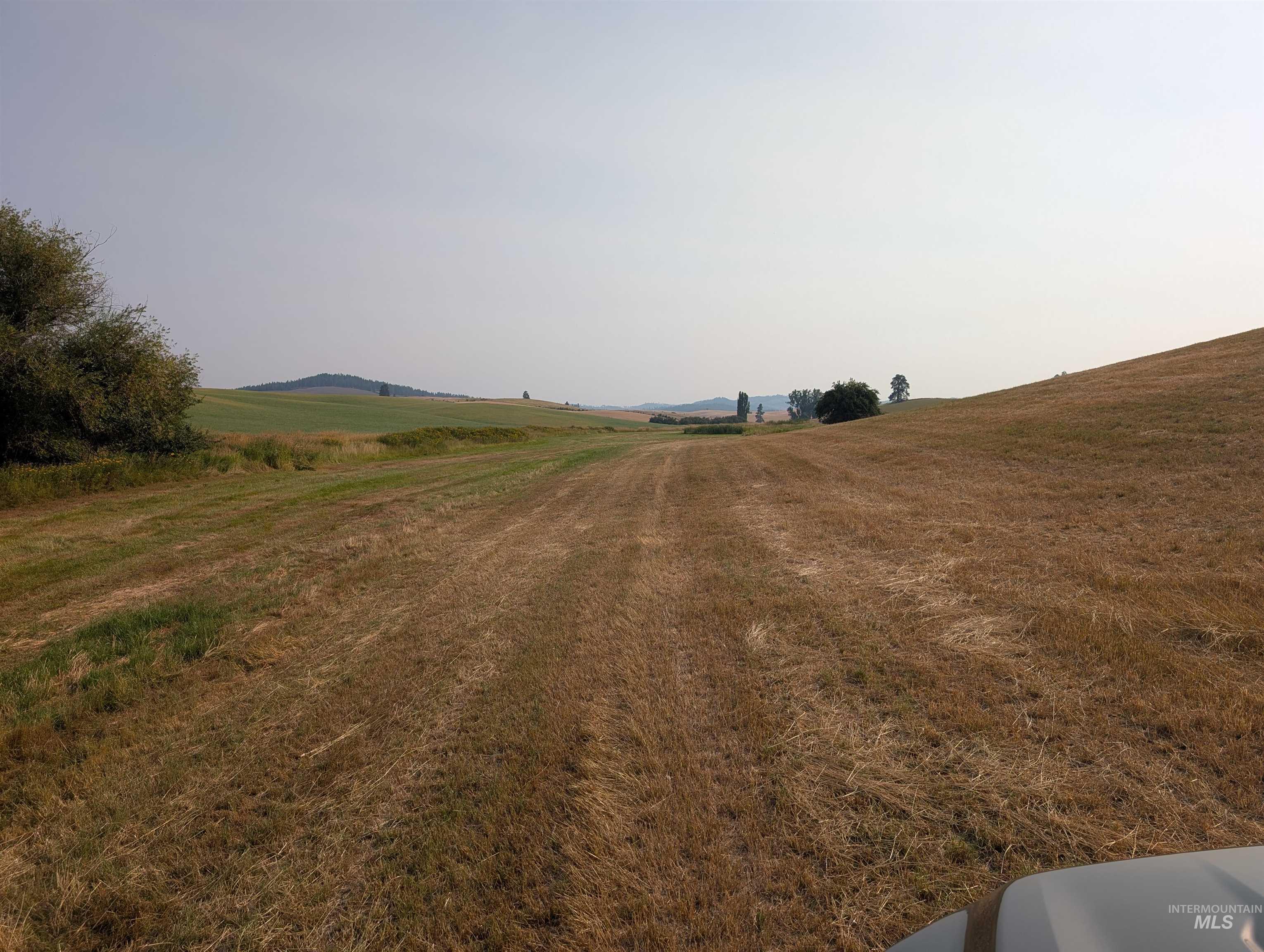 +/- 155 Ac Tbd Boller Road Property Photo 14