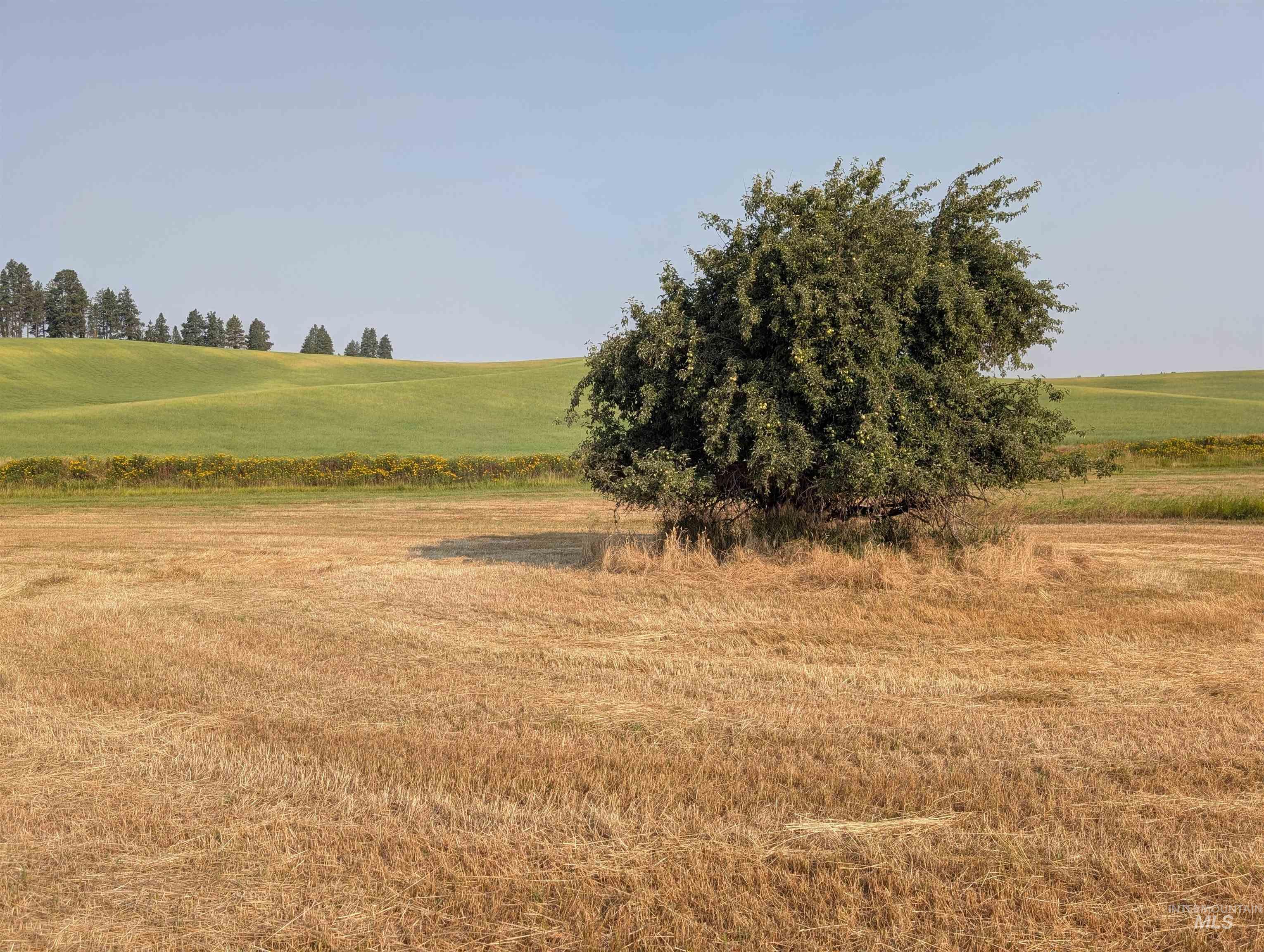 +/- 155 Ac Tbd Boller Road Property Photo 15
