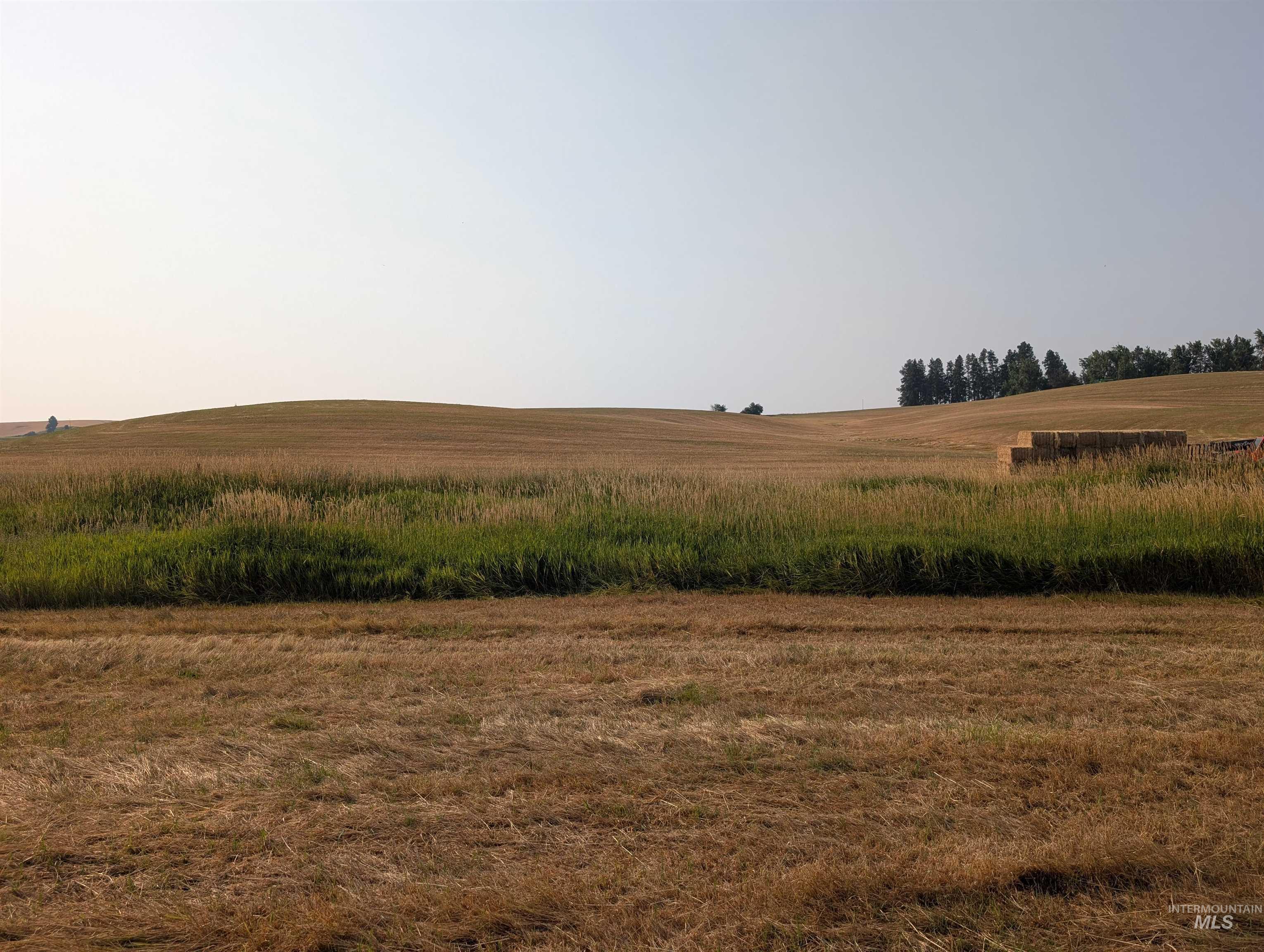 +/- 155 Ac Tbd Boller Road Property Photo 16