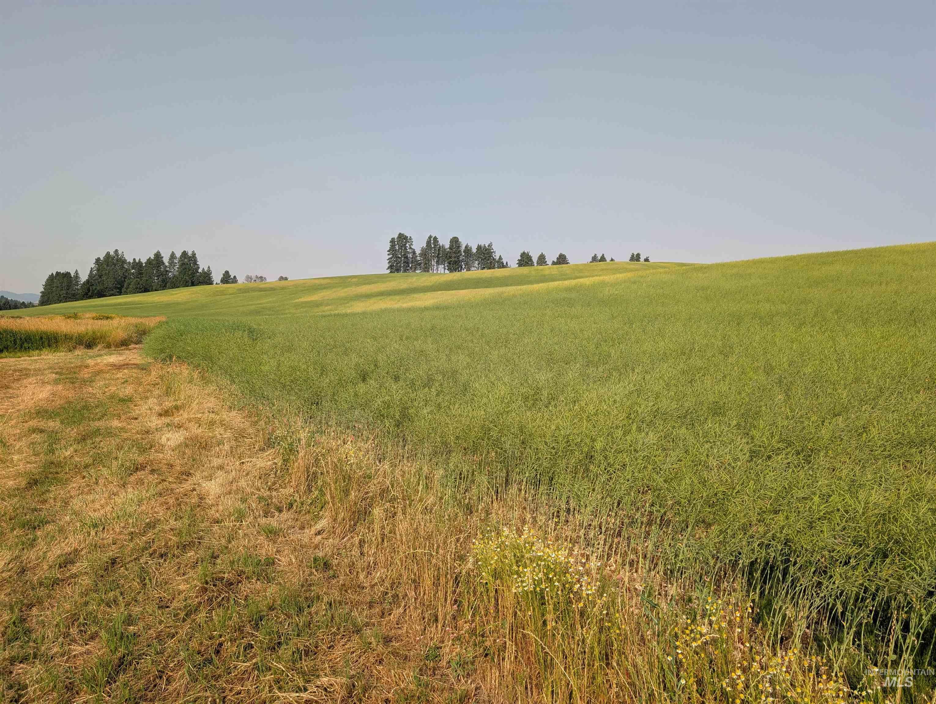 +/- 155 Ac Tbd Boller Road Property Photo 17