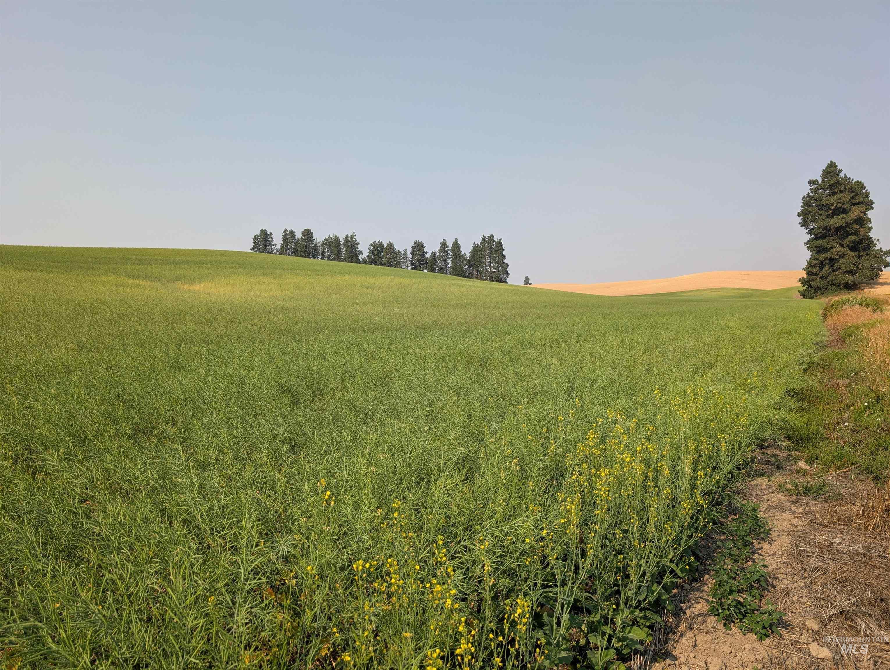 +/- 155 Ac Tbd Boller Road Property Photo 18