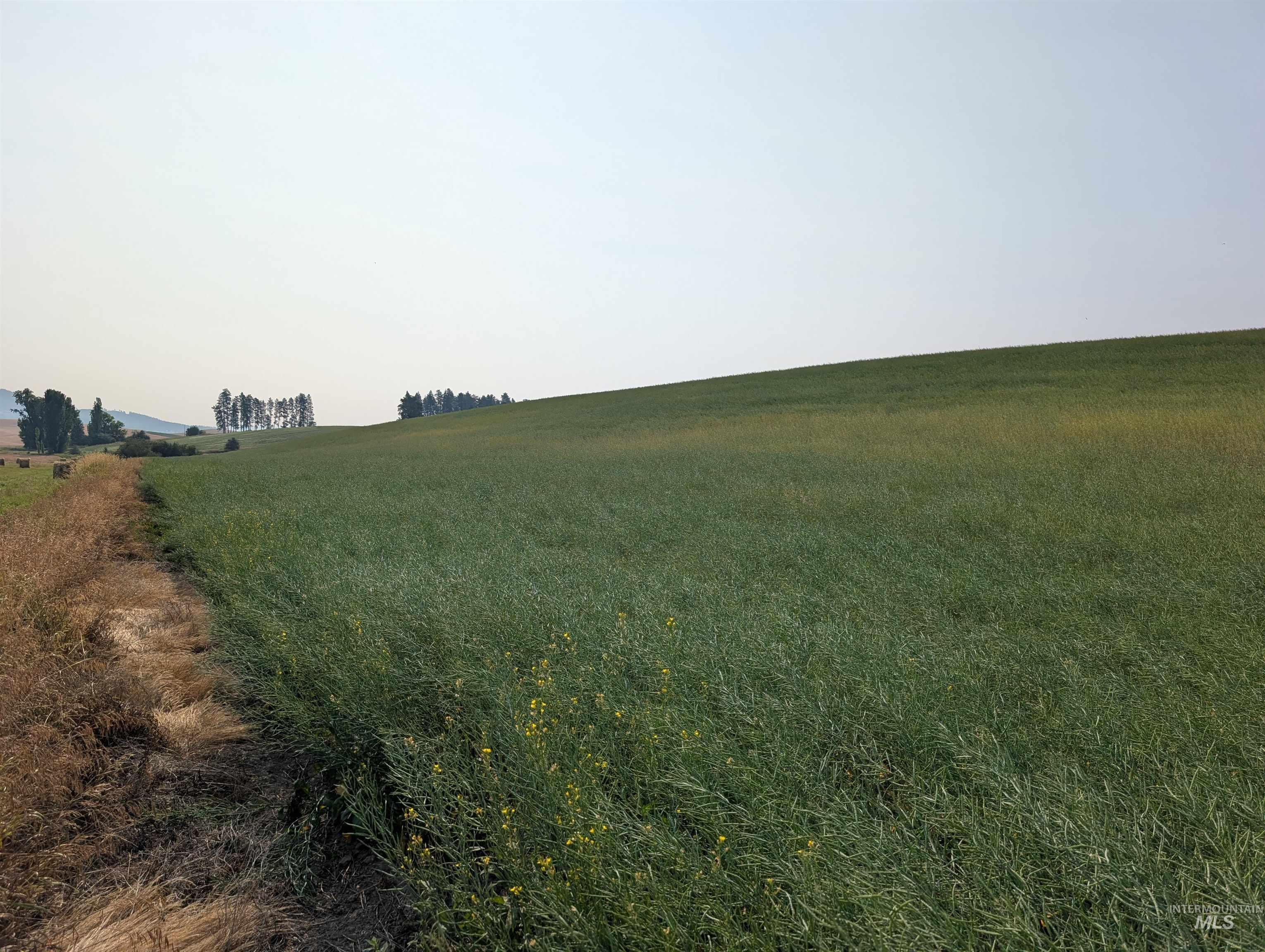 +/- 155 Ac Tbd Boller Road Property Photo 19