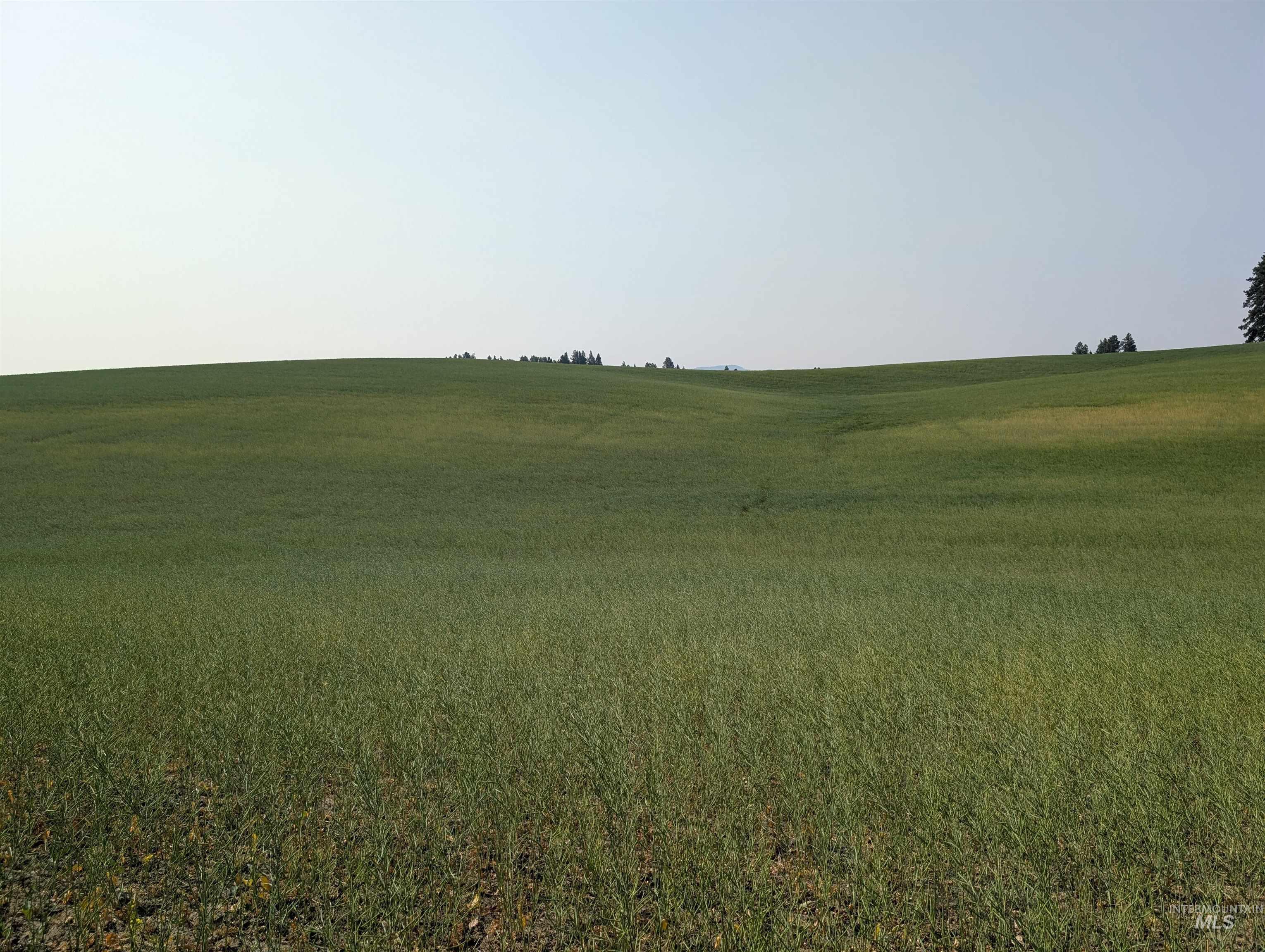 +/- 155 Ac Tbd Boller Road Property Photo 20