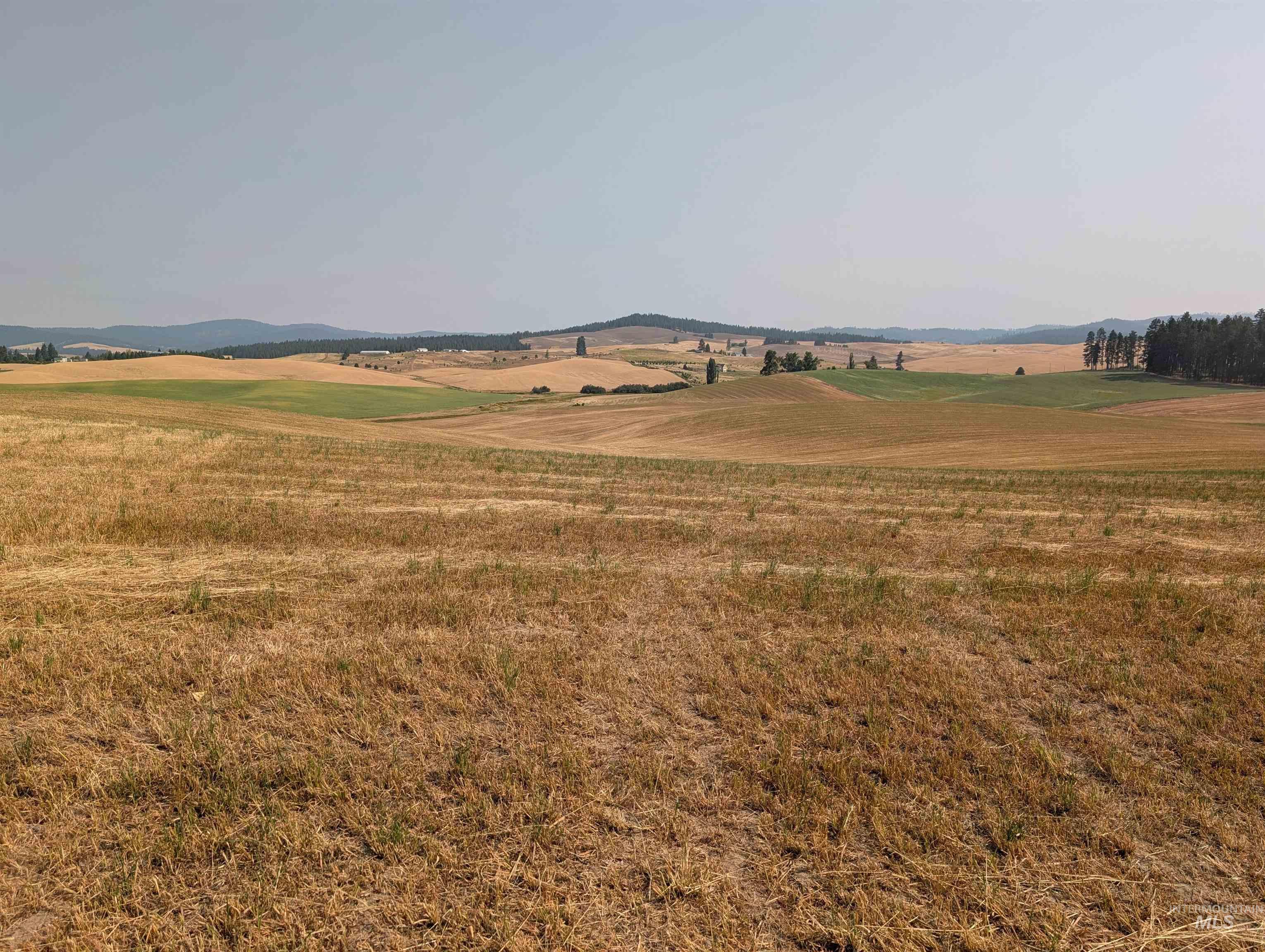 +/- 155 Ac Tbd Boller Road Property Photo 21