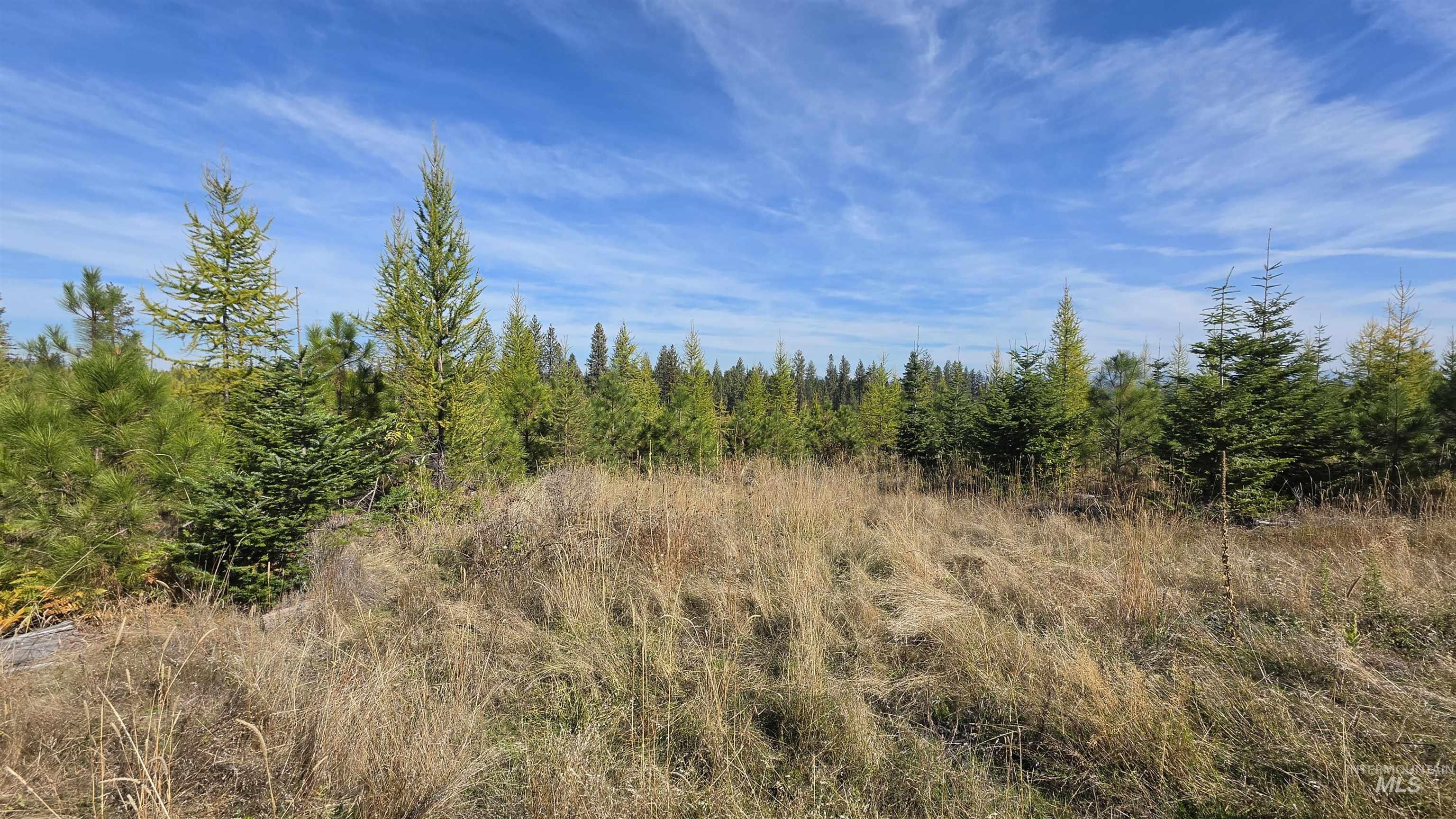 0 Timberline Heights, Parcel 2 Property Photo 4
