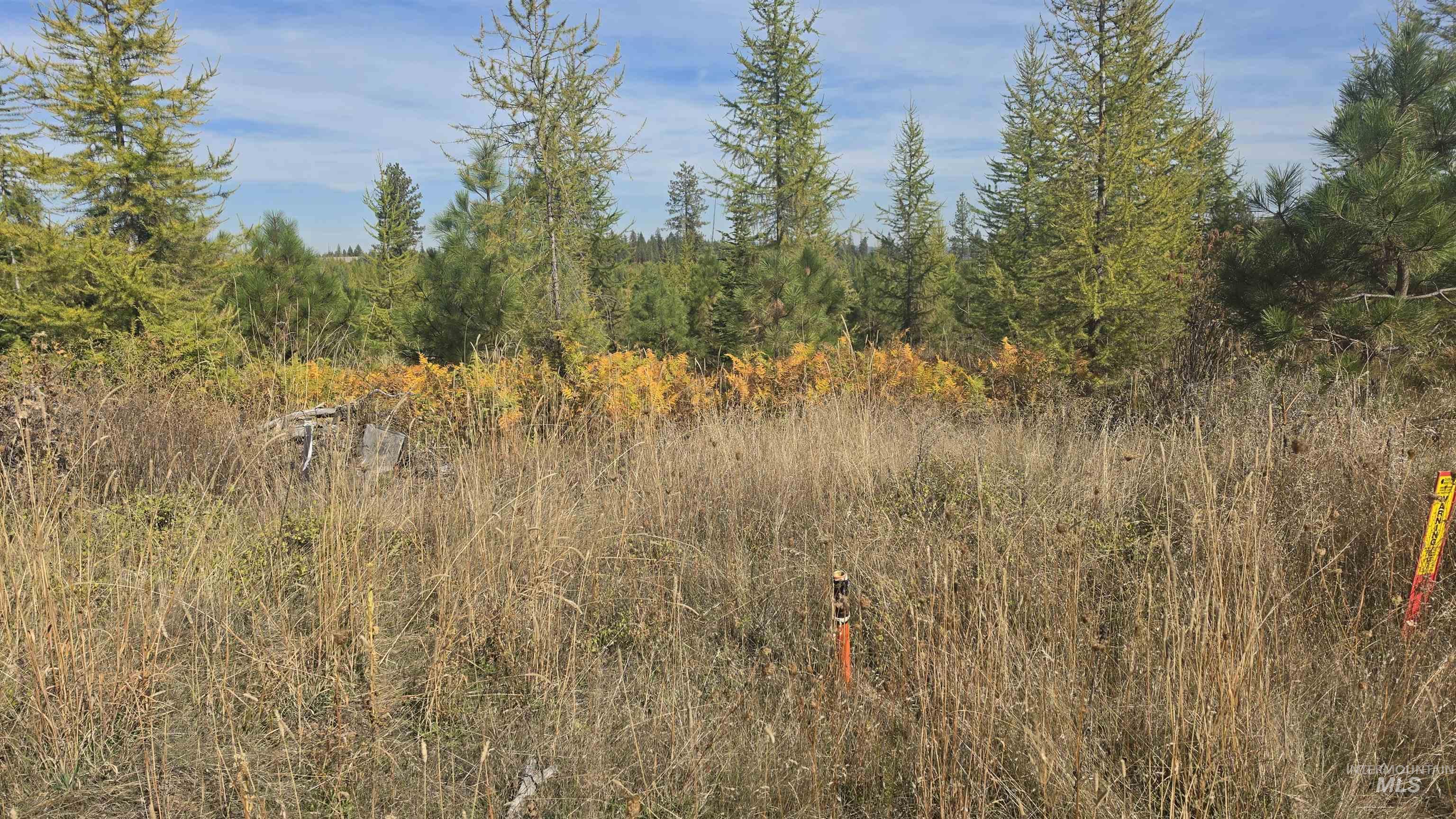 0 Timberline Heights, Parcel 2 Property Photo 5