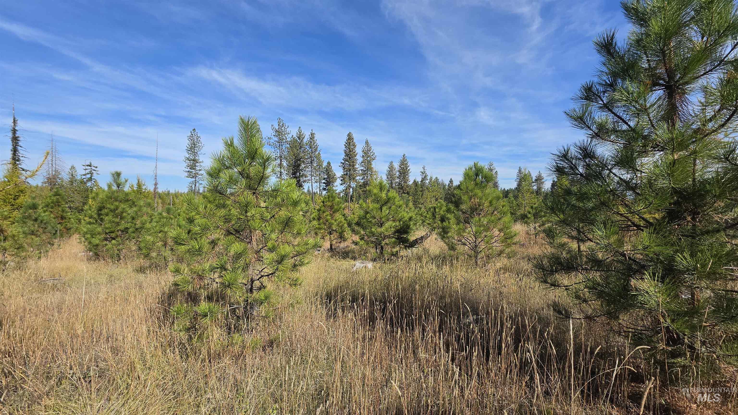 0 Timberline Heights, Parcel 2 Property Photo 11