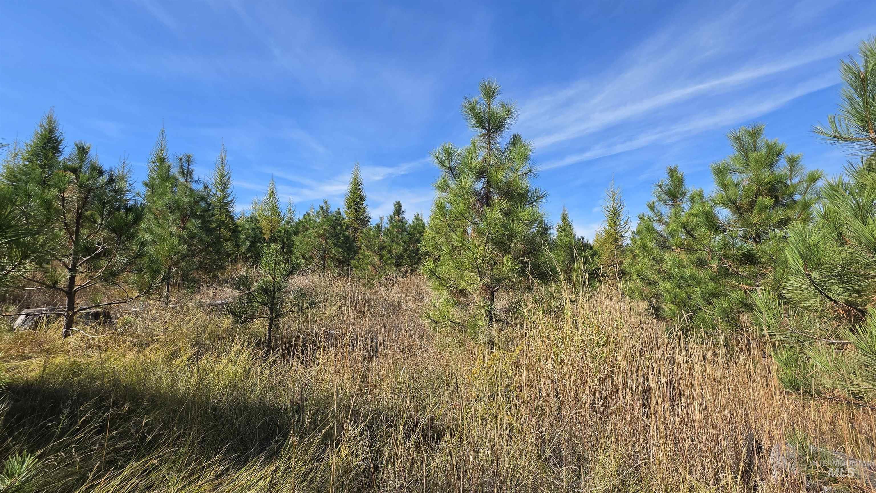 0 Timberline Heights, Parcel 2 Property Photo 12