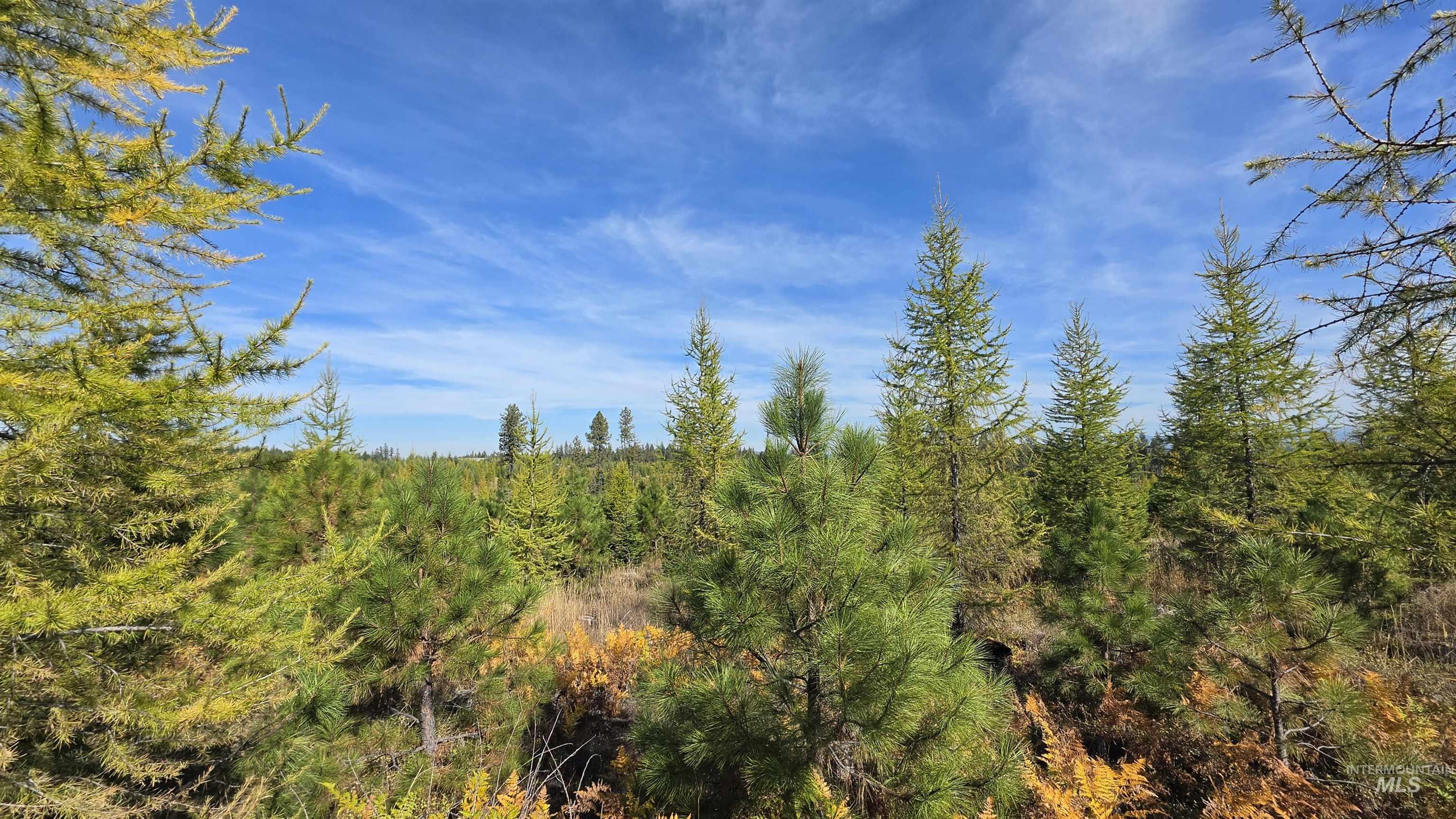 0 Timberline Heights, Parcel 2 Property Photo 14