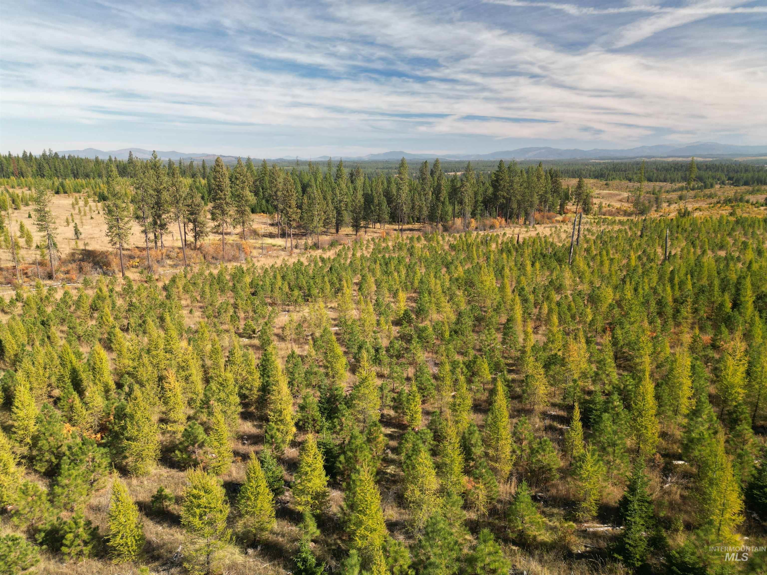 0 Timberline Heights, Parcel 2 Property Photo 15