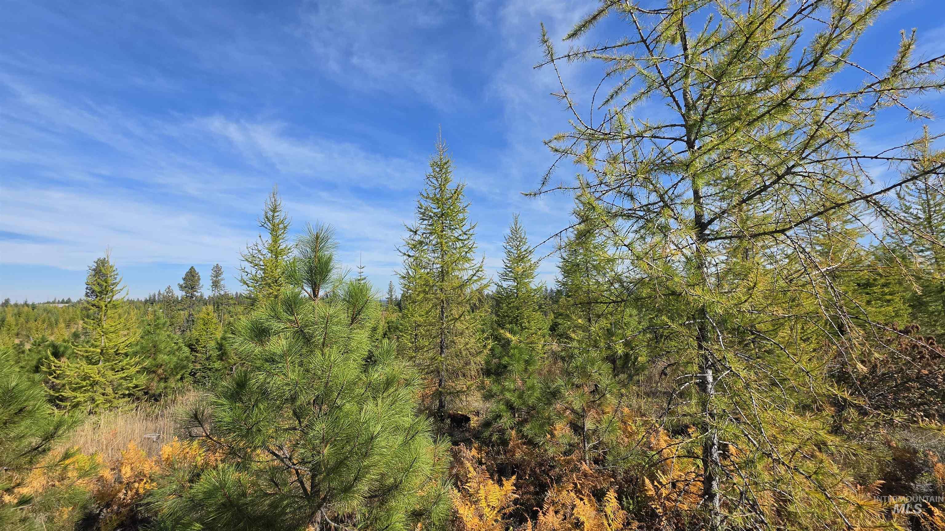 0 Timberline Heights, Parcel 2 Property Photo 17