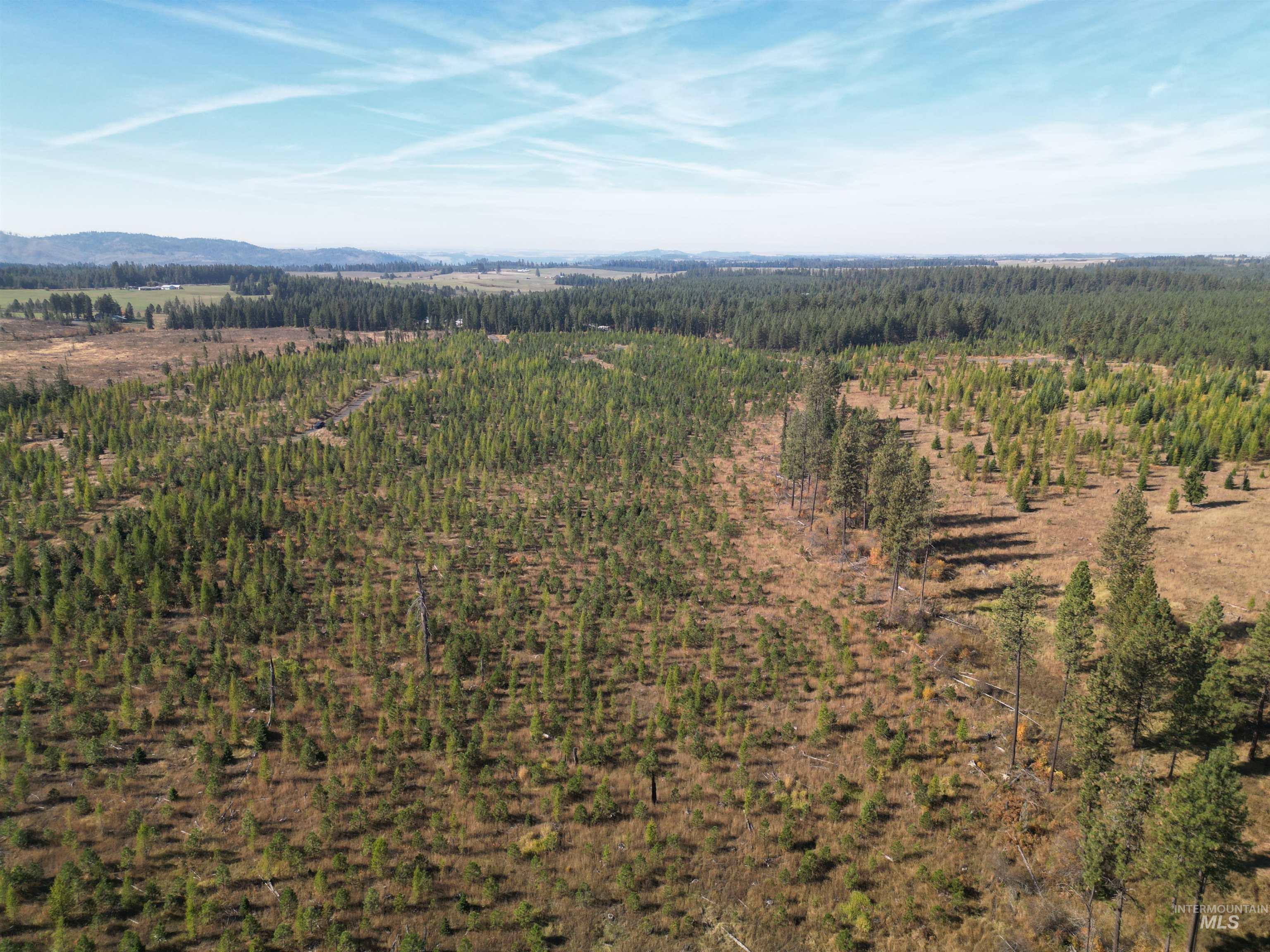 0 Timberline Heights, Parcel 2 Property Photo 18