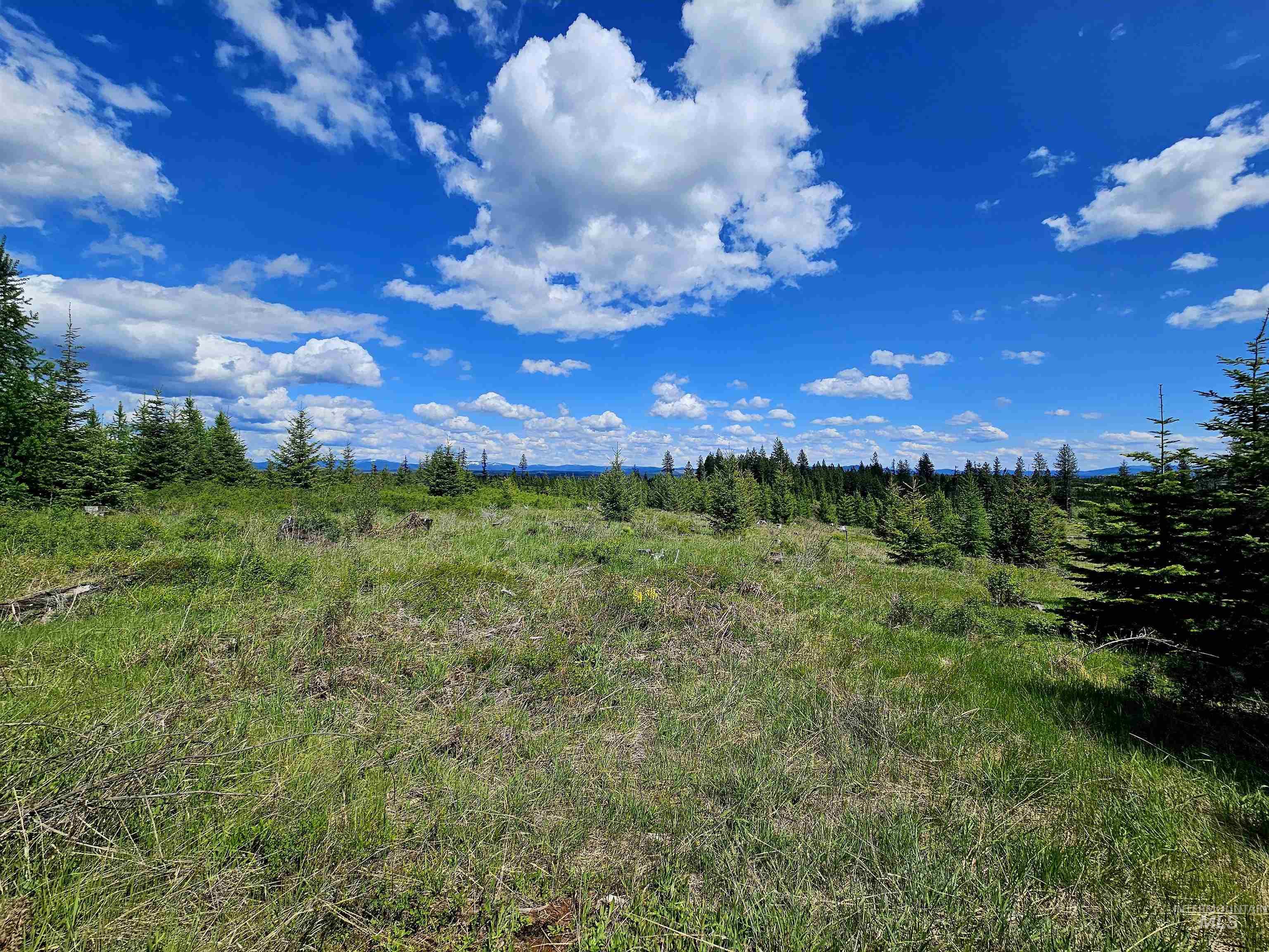 0 Timberline Heights, Parcel 2 Property Photo 19