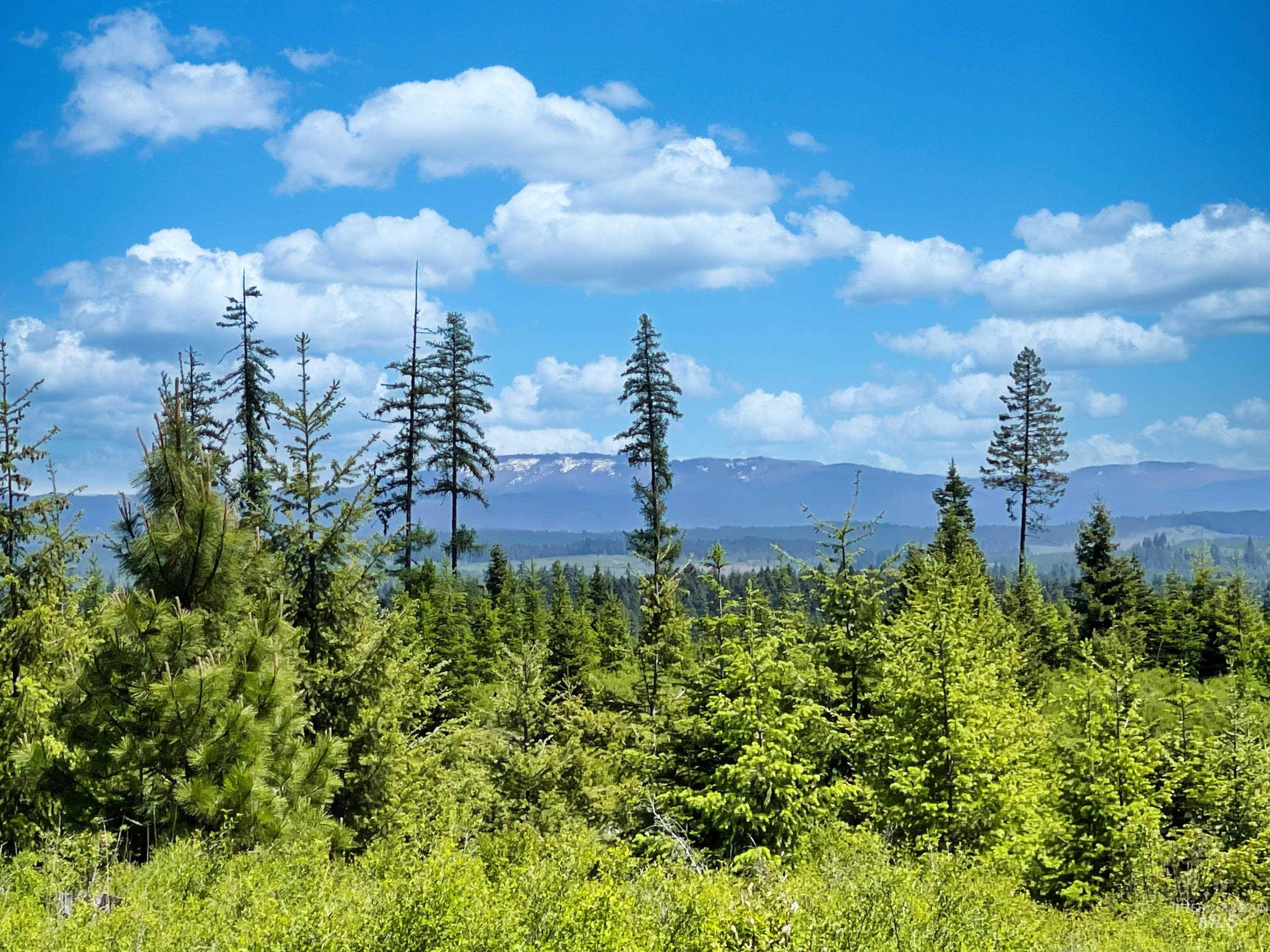 0 Timberline Heights, Parcel 4 Property Photo 1