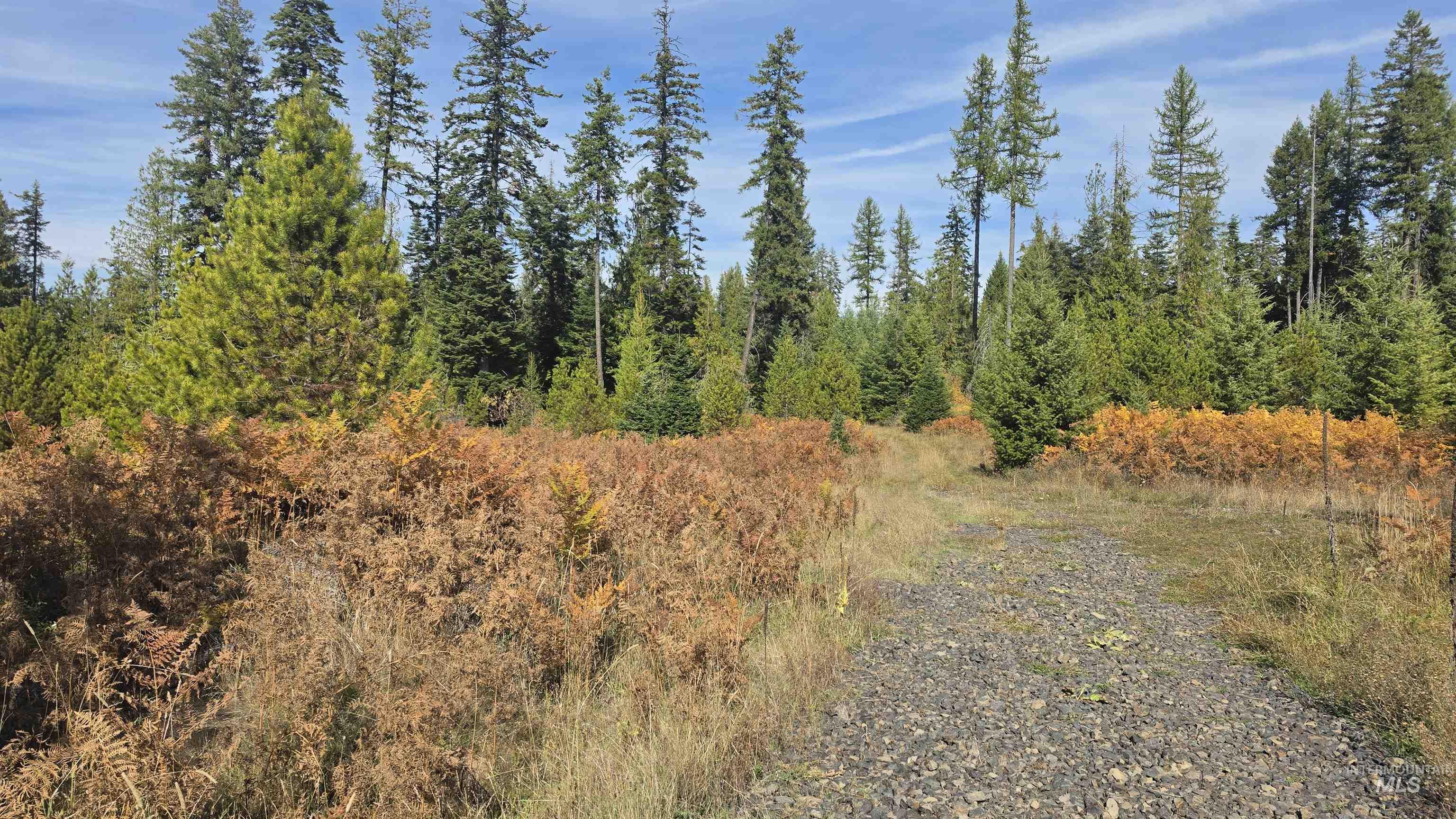 0 Timberline Heights, Parcel 4 Property Photo 2