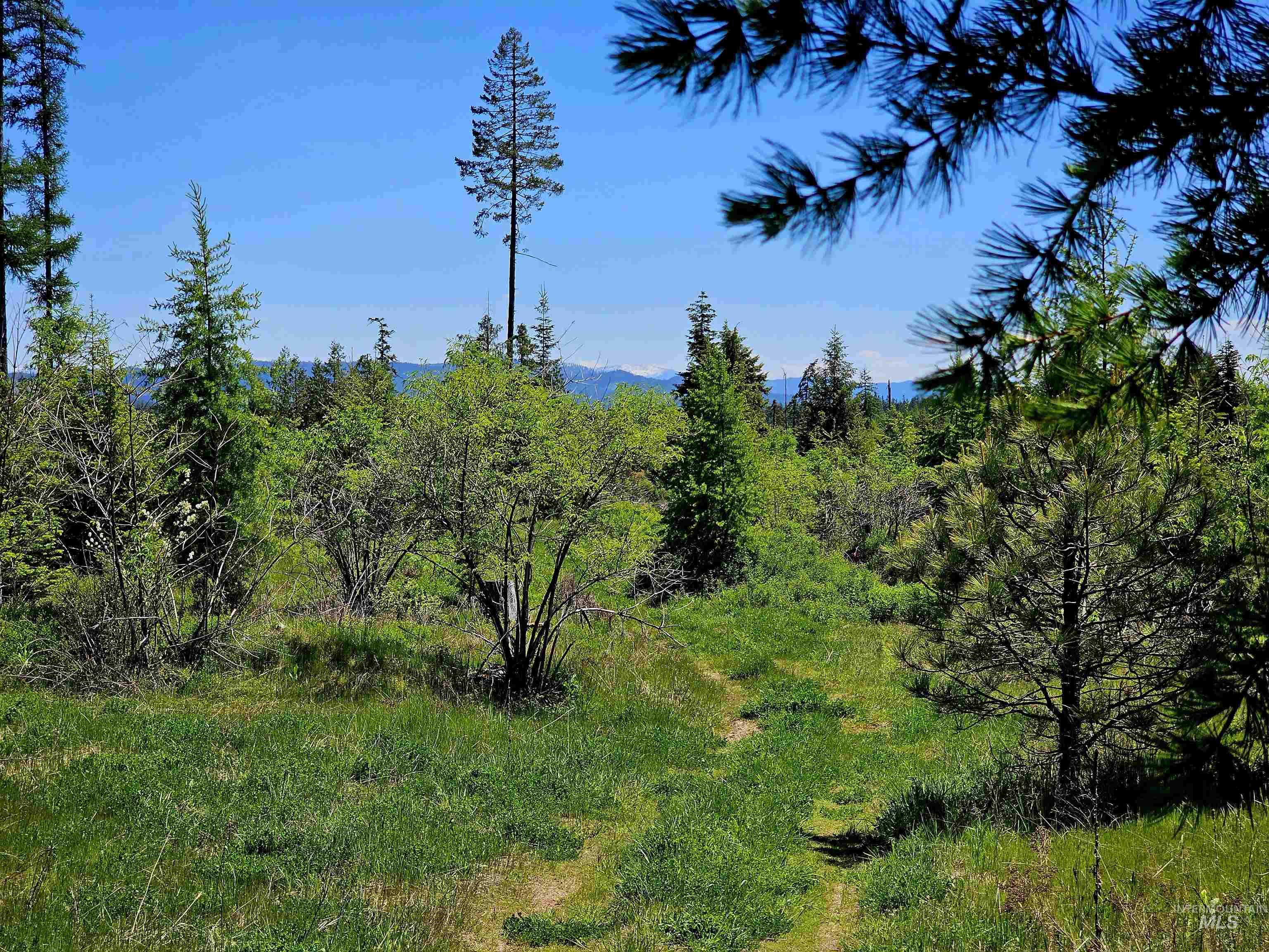 0 Timberline Heights, Parcel 4 Property Photo 10