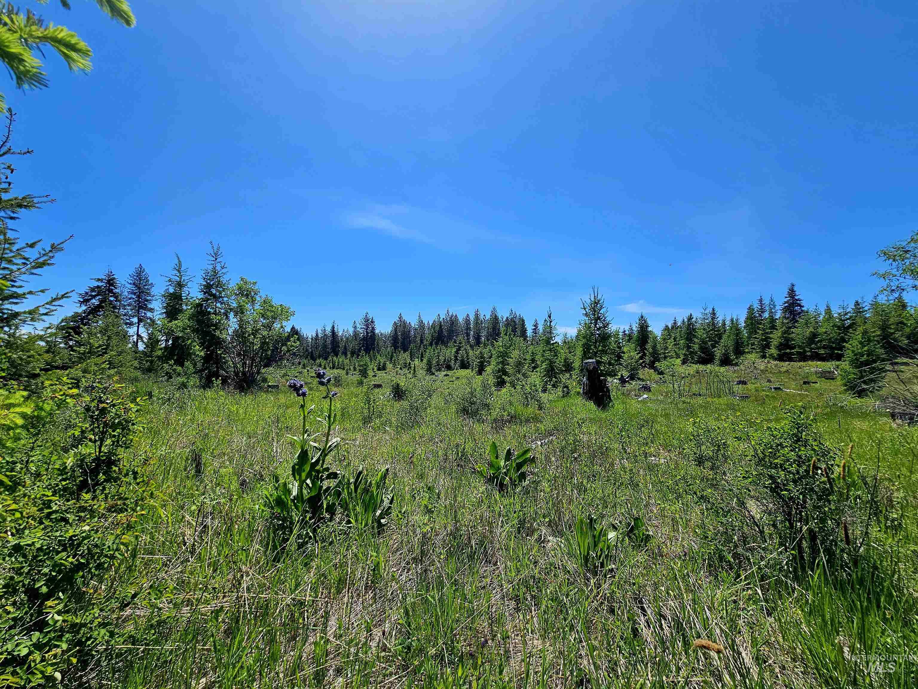 0 Timberline Heights, Parcel 4 Property Photo 11