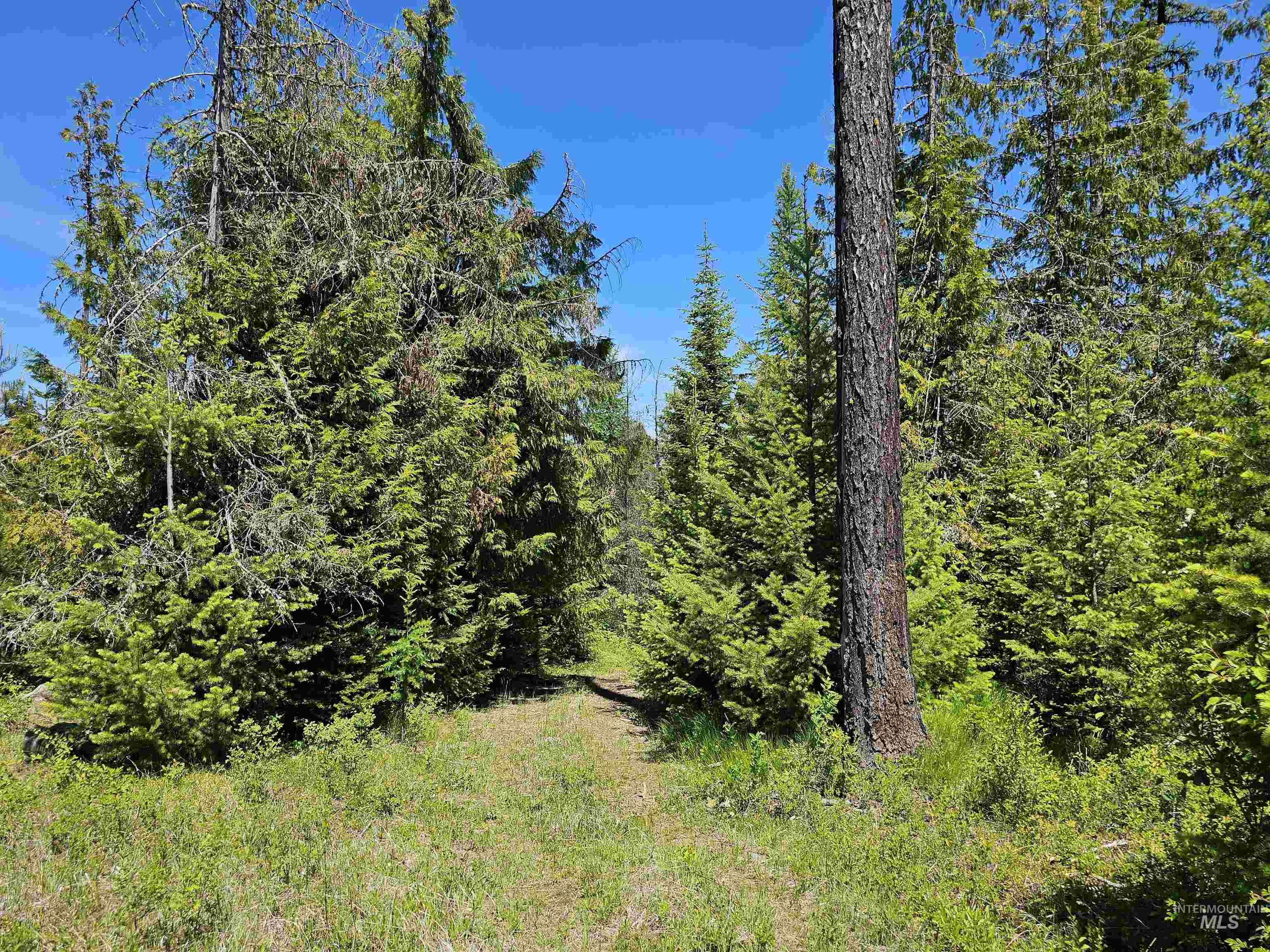 0 Timberline Heights, Parcel 4 Property Photo 13