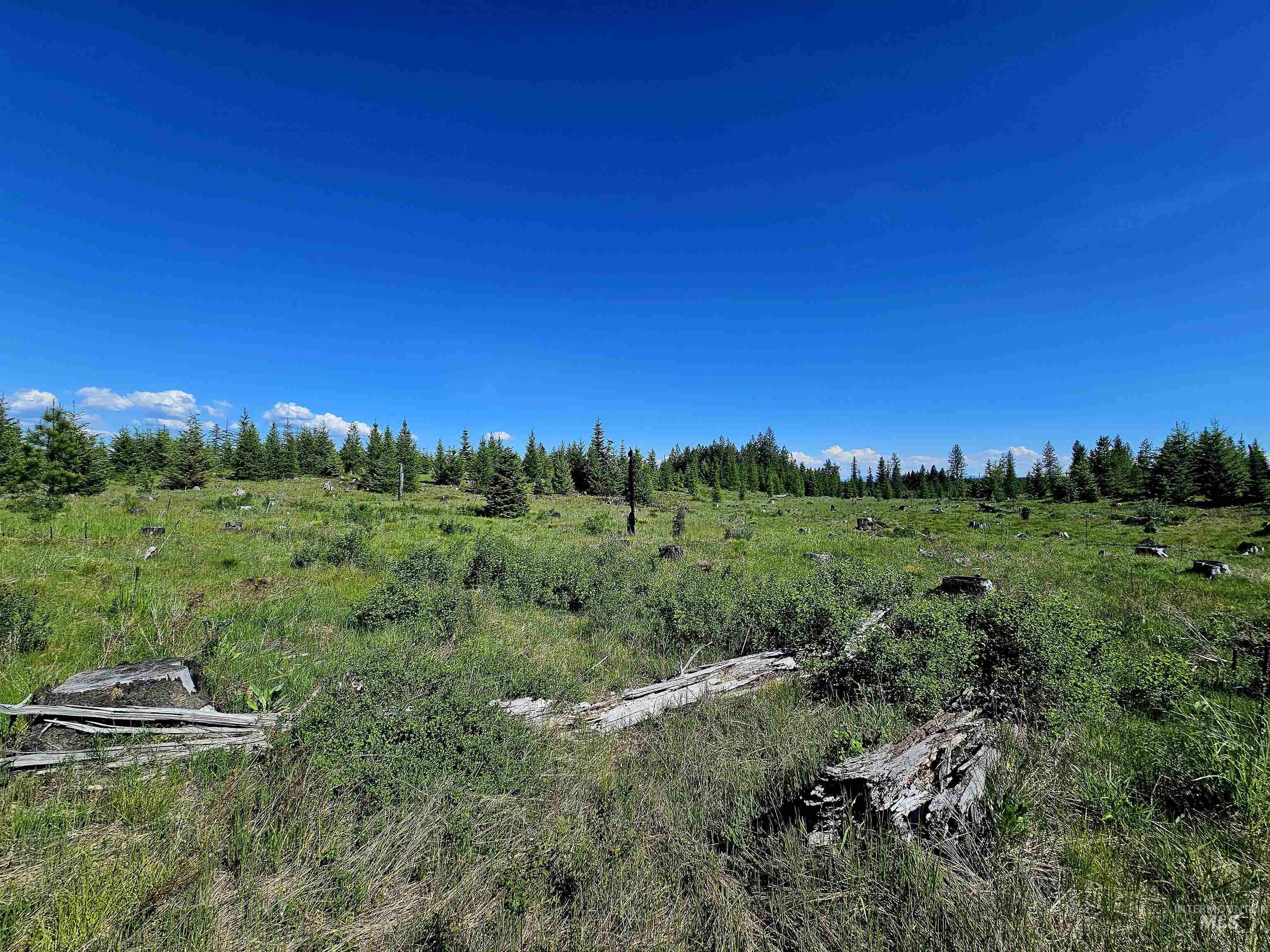 0 Timberline Heights, Parcel 4 Property Photo 14