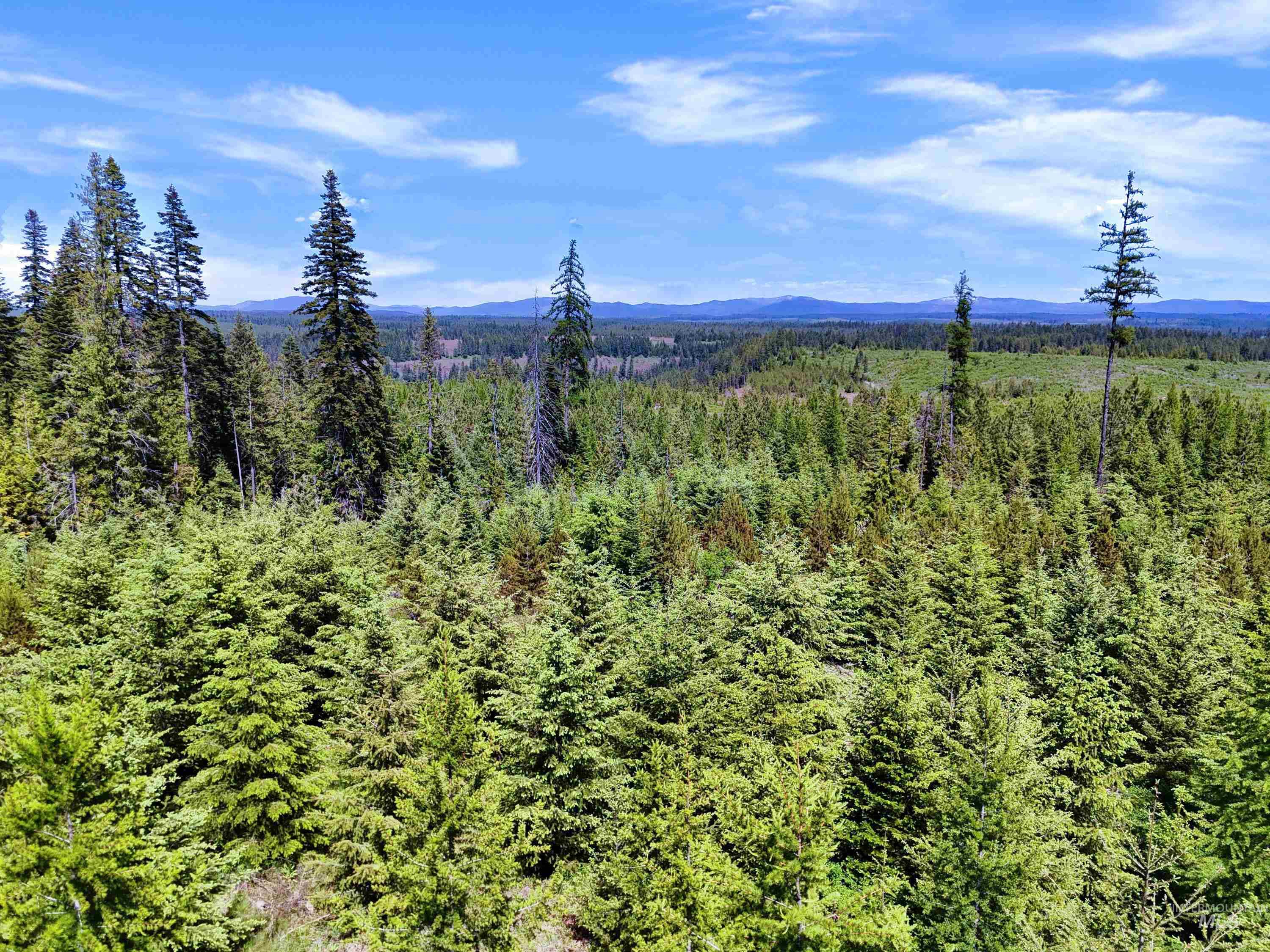 0 Timberline Heights, Parcel 4 Property Photo 23