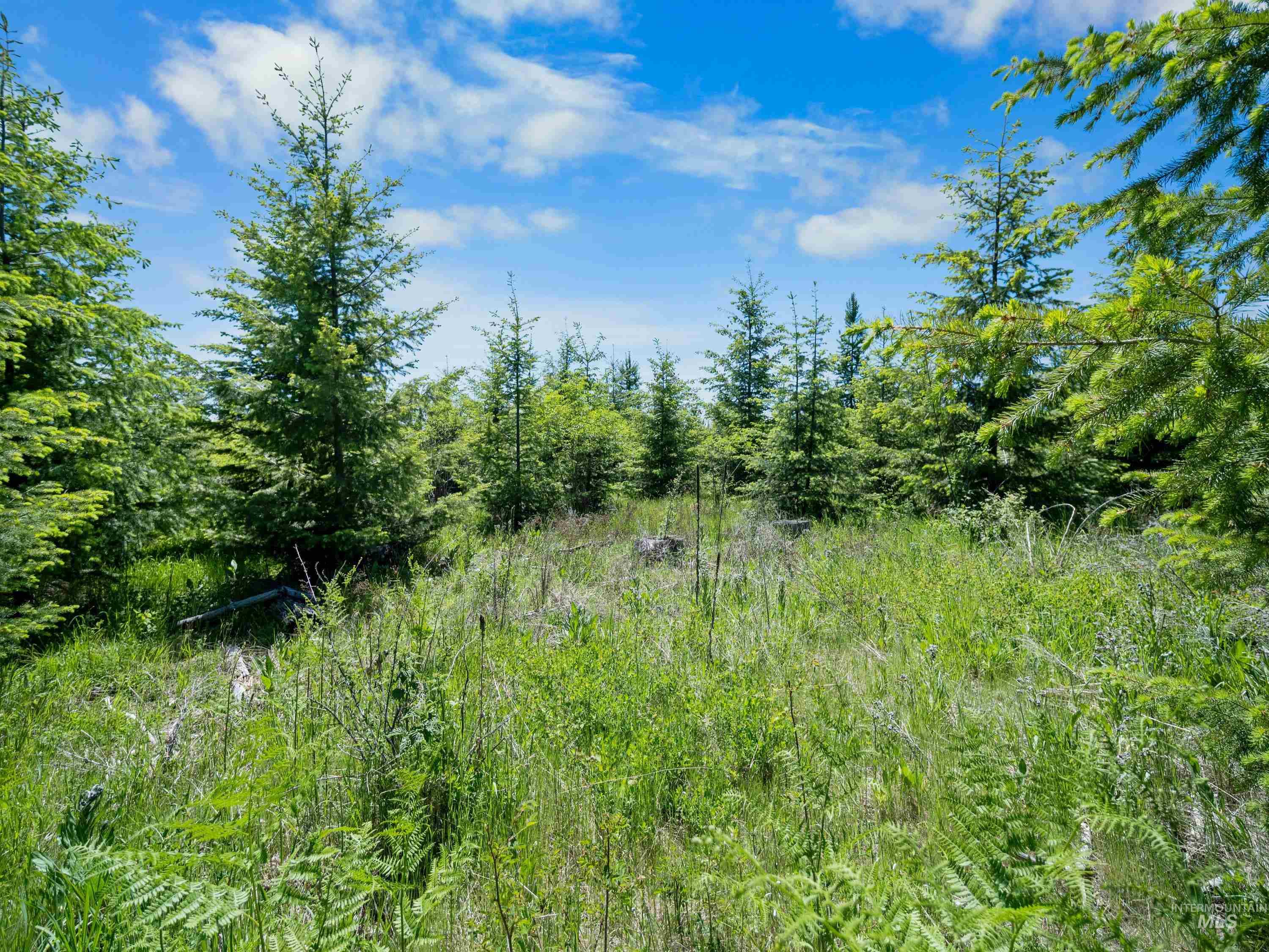 0 Timberline Heights, Parcel 4 Property Photo 25