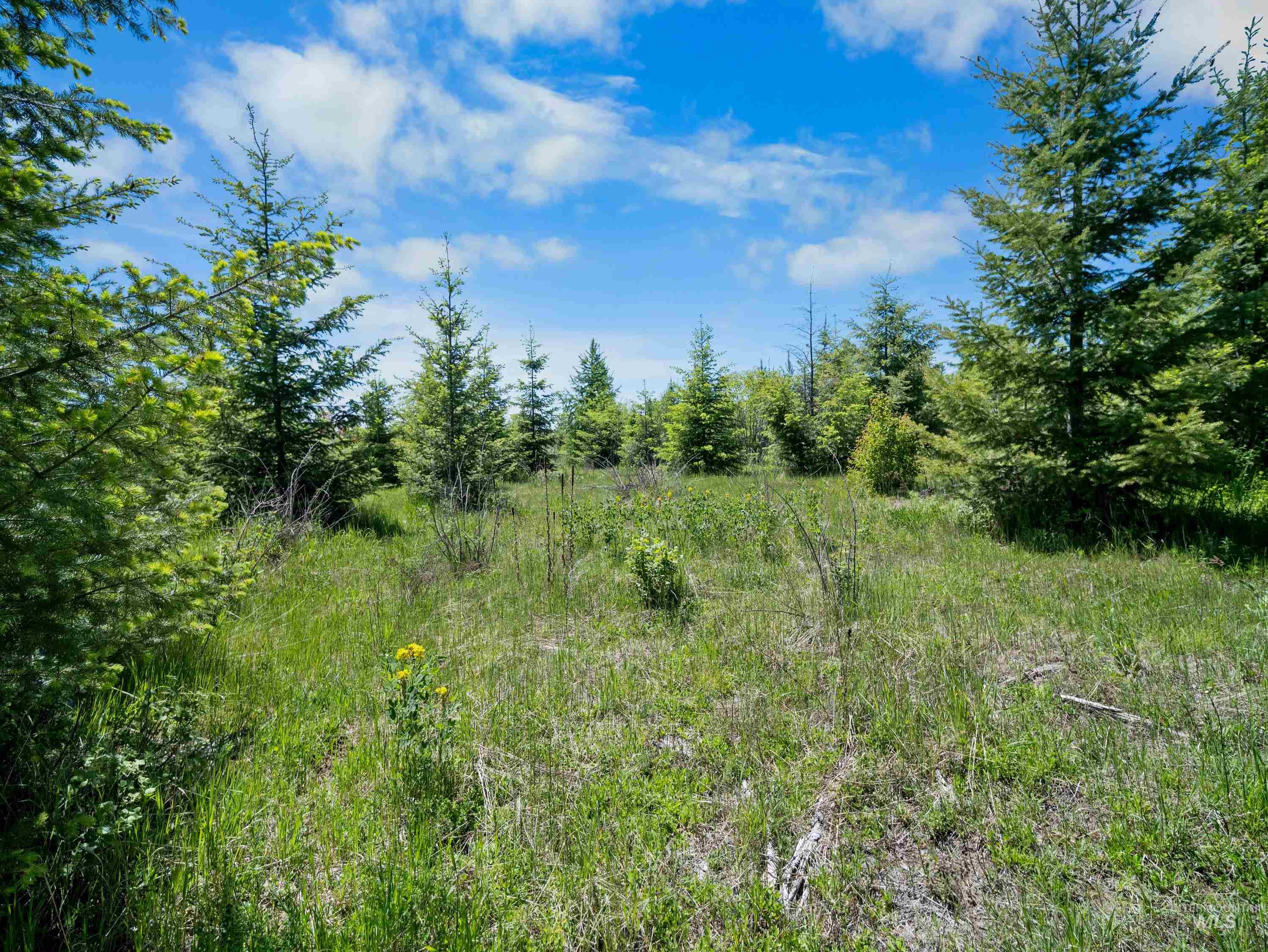 0 Timberline Heights, Parcel 4 Property Photo 28