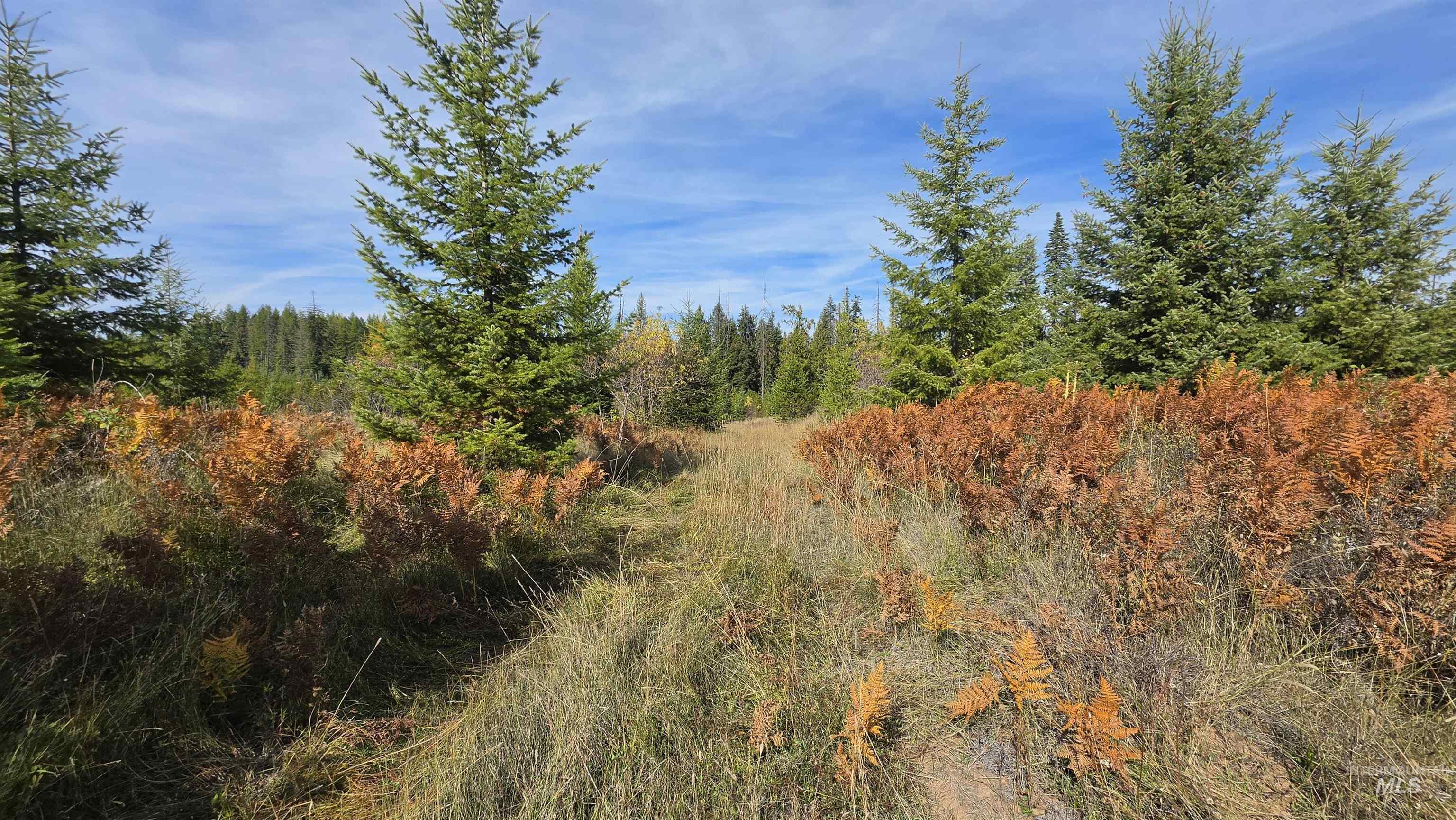 0 Timberline Heights, Parcel 5 Property Photo 1
