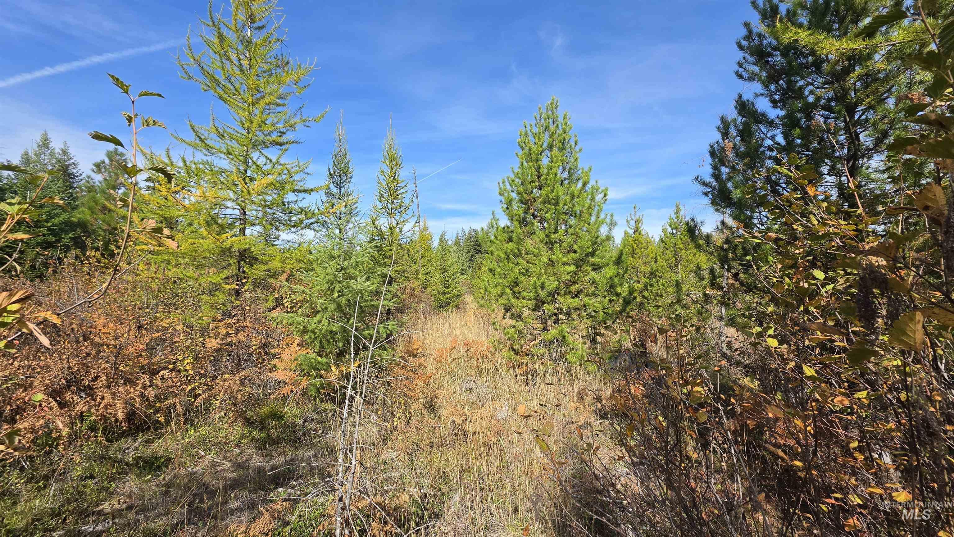 0 Timberline Heights, Parcel 5 Property Photo 2