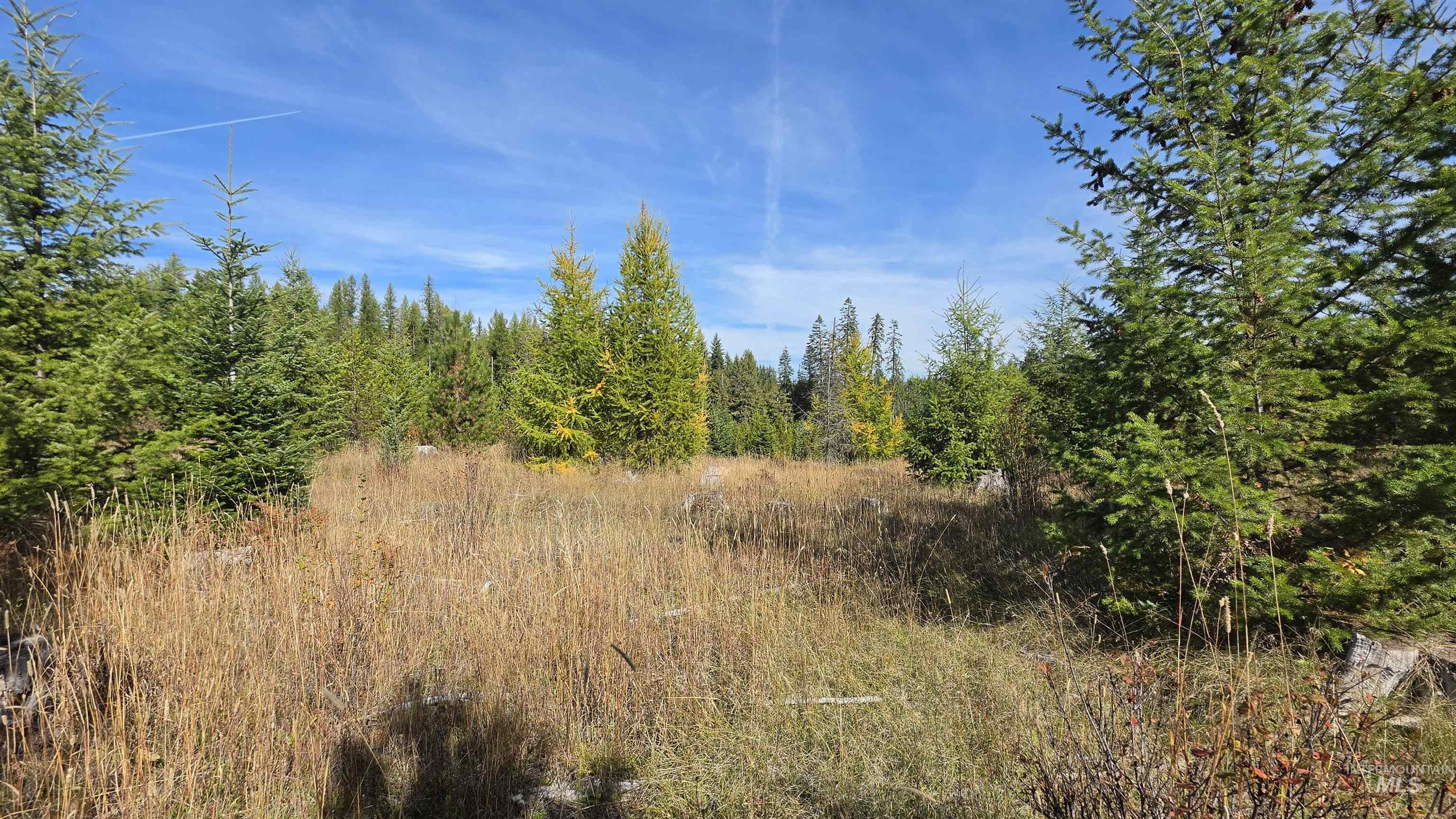 0 Timberline Heights, Parcel 5 Property Photo 3