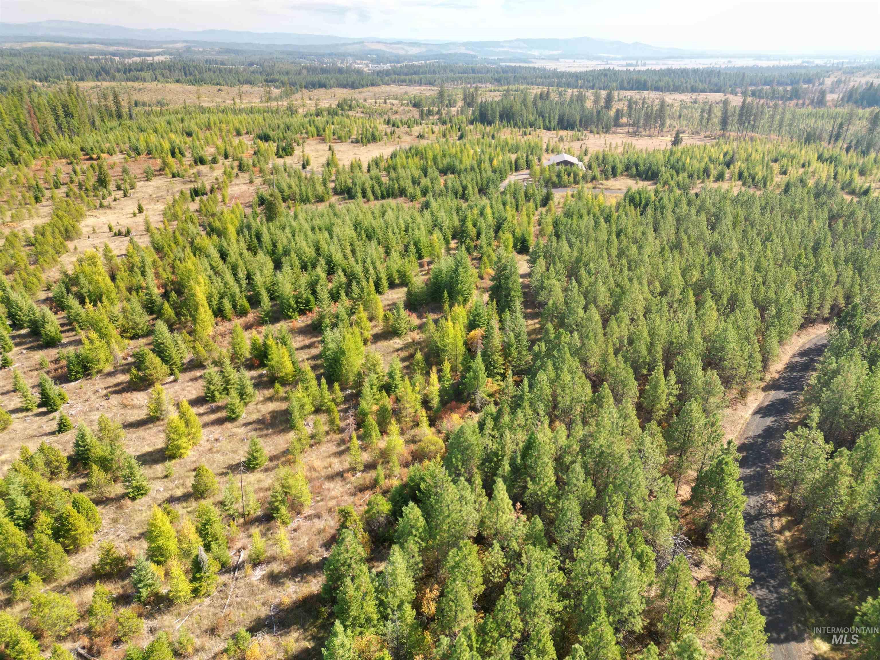 0 Timberline Heights, Parcel 5 Property Photo 7