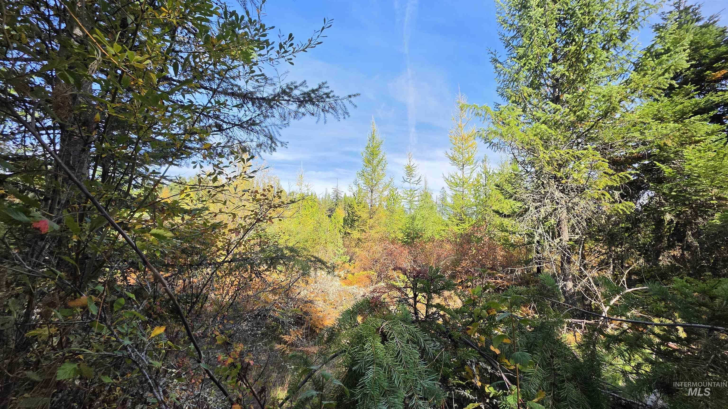 0 Timberline Heights, Parcel 5 Property Photo 8
