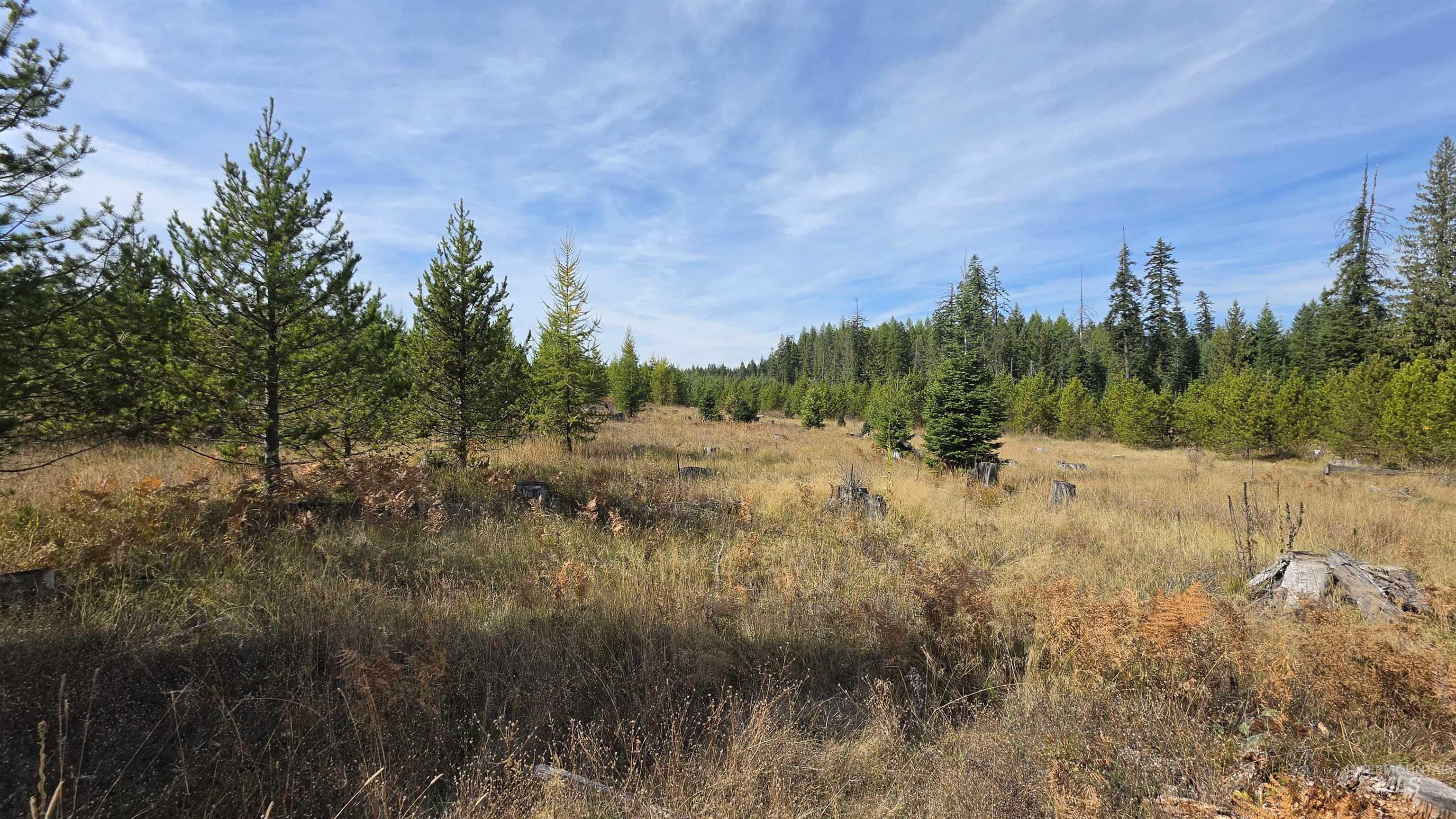 0 Timberline Heights, Parcel 5 Property Photo 12
