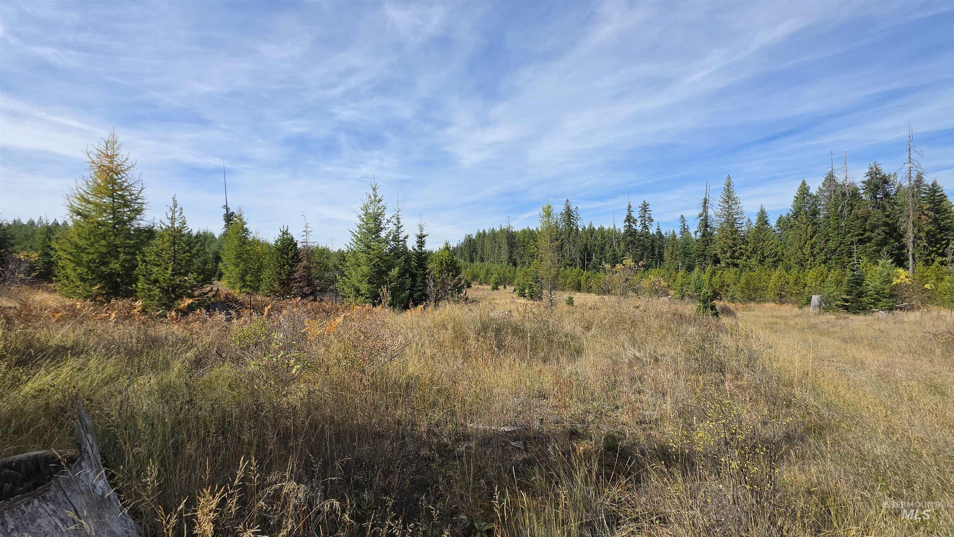 0 Timberline Heights, Parcel 5 Property Photo 20