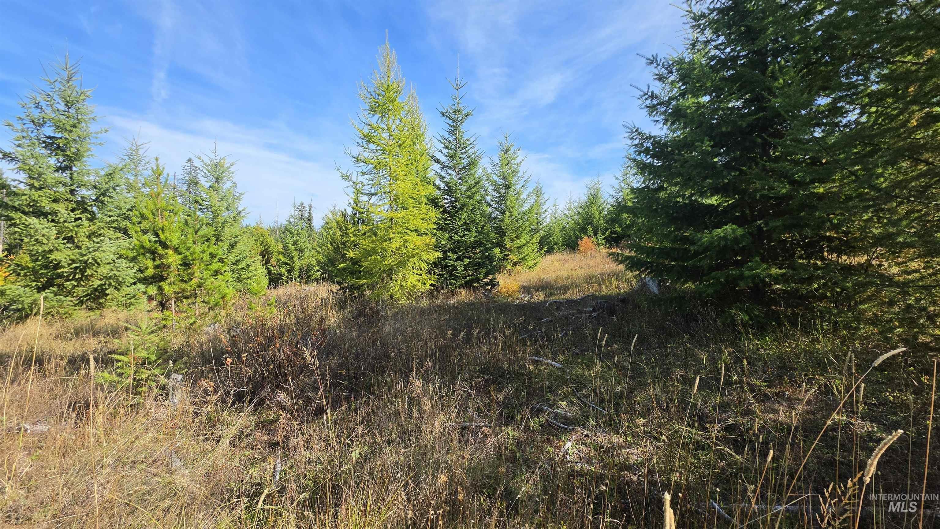 0 Timberline Heights, Parcel 5 Property Photo 21