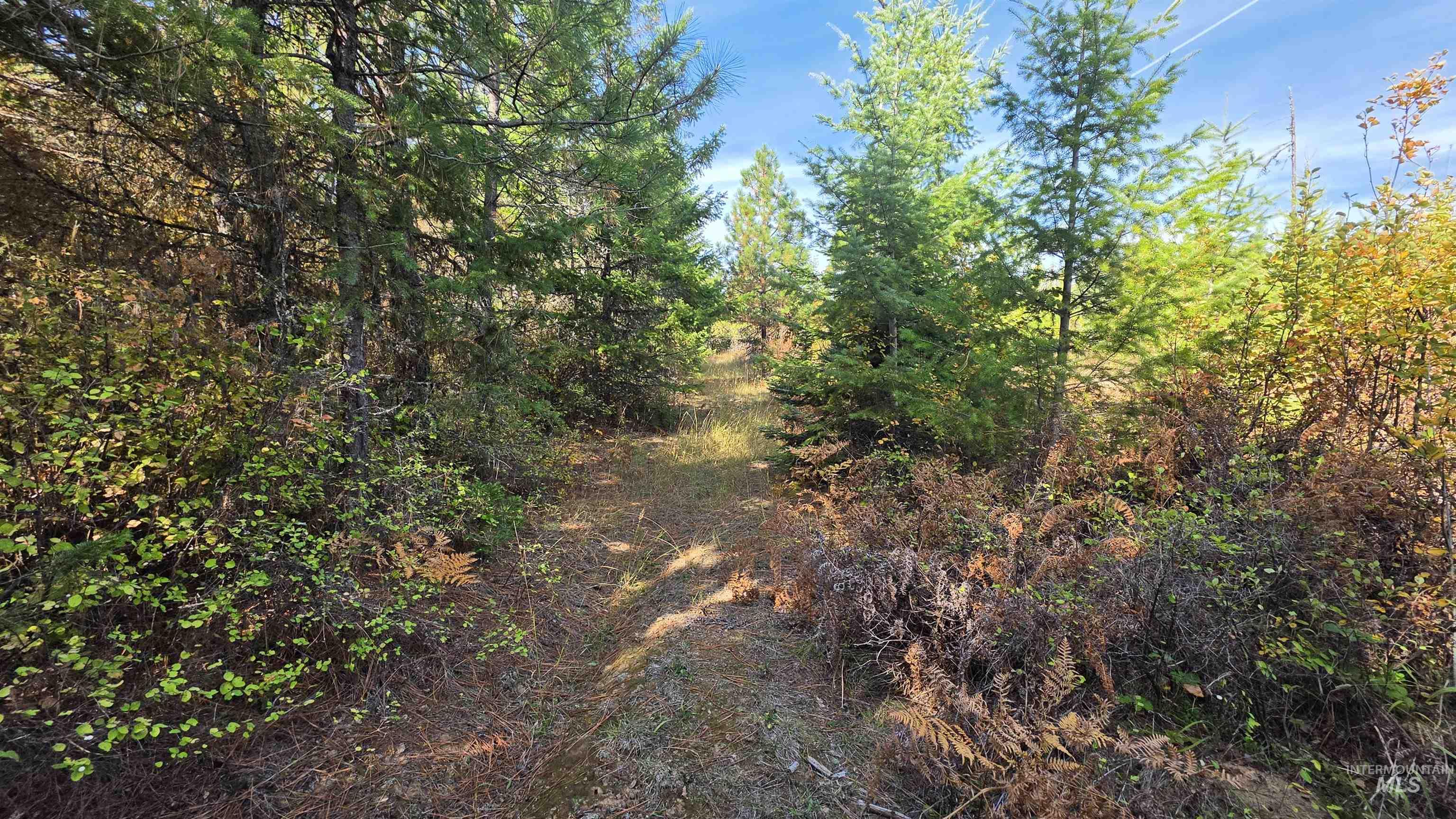 0 Timberline Heights, Parcel 5 Property Photo 22