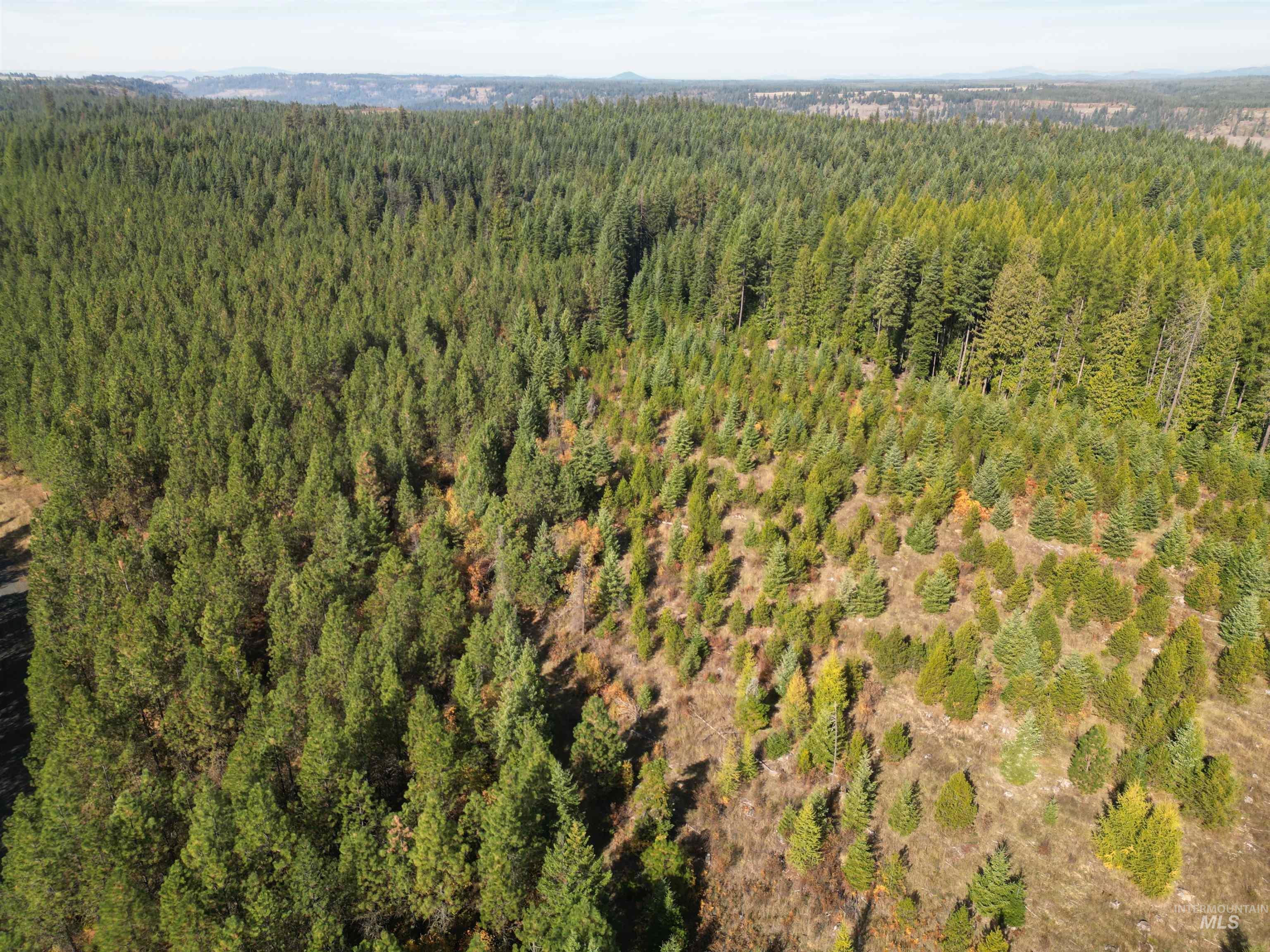 0 Timberline Heights, Parcel 5 Property Photo 24