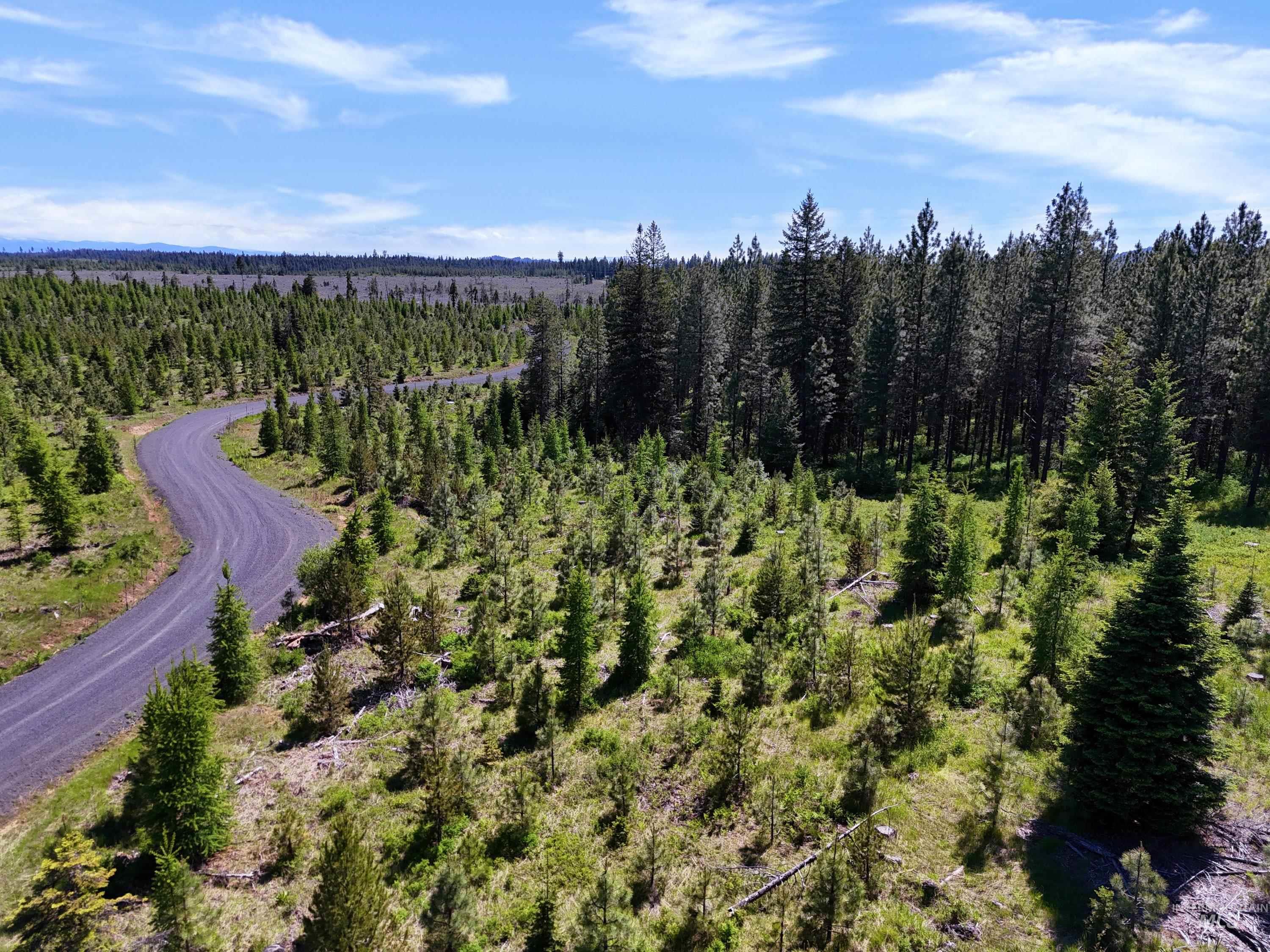 0 Timberline Heights, Parcel 8 Property Photo 2