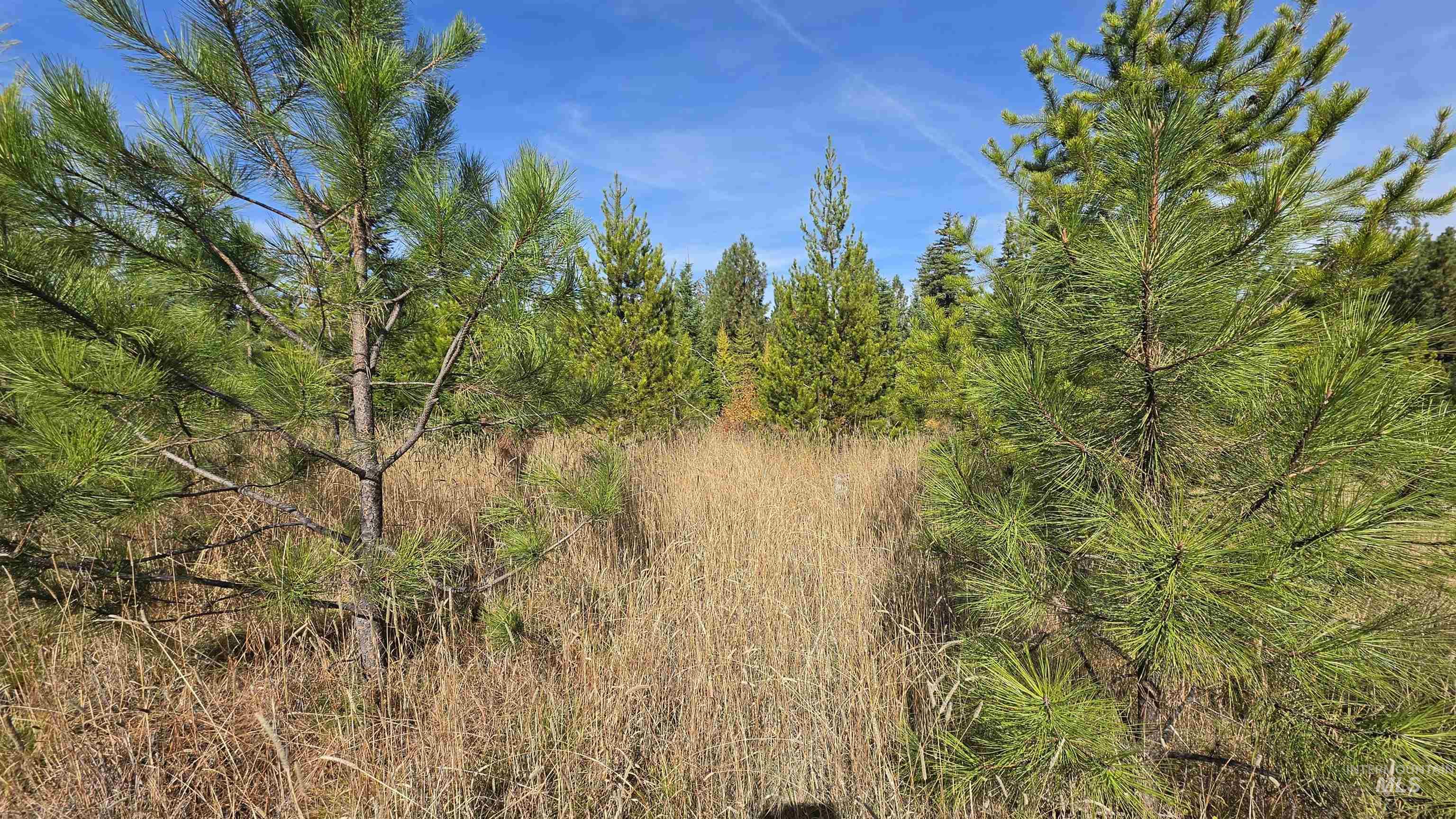 0 Timberline Heights, Parcel 8 Property Photo 5